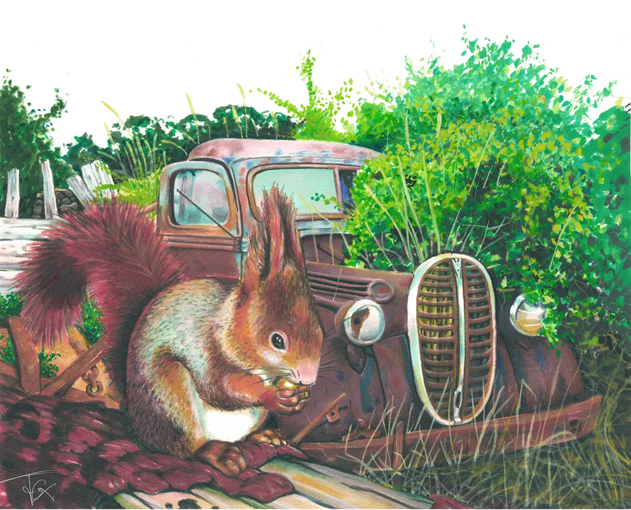 Squirrel