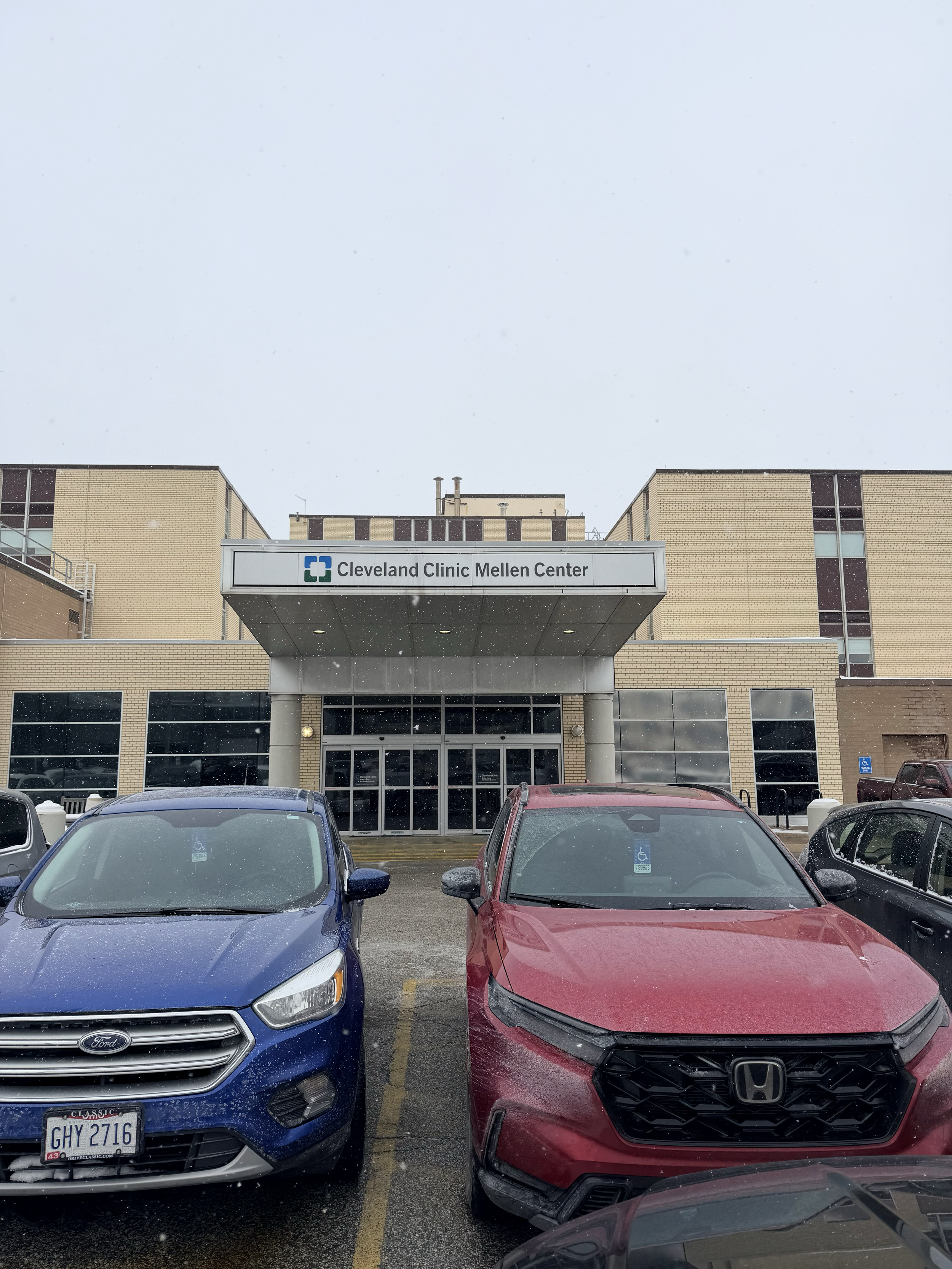 Stem Cell Journey - March Update