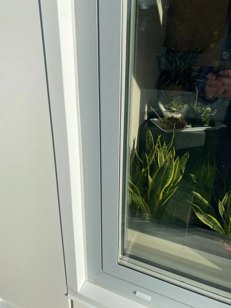 Vancouver West End 4.jpeg