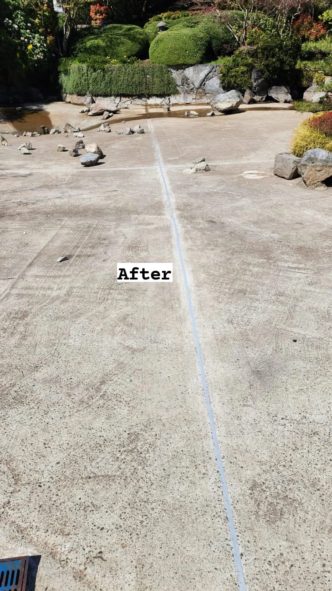 Momiji Garden, PNE, BC