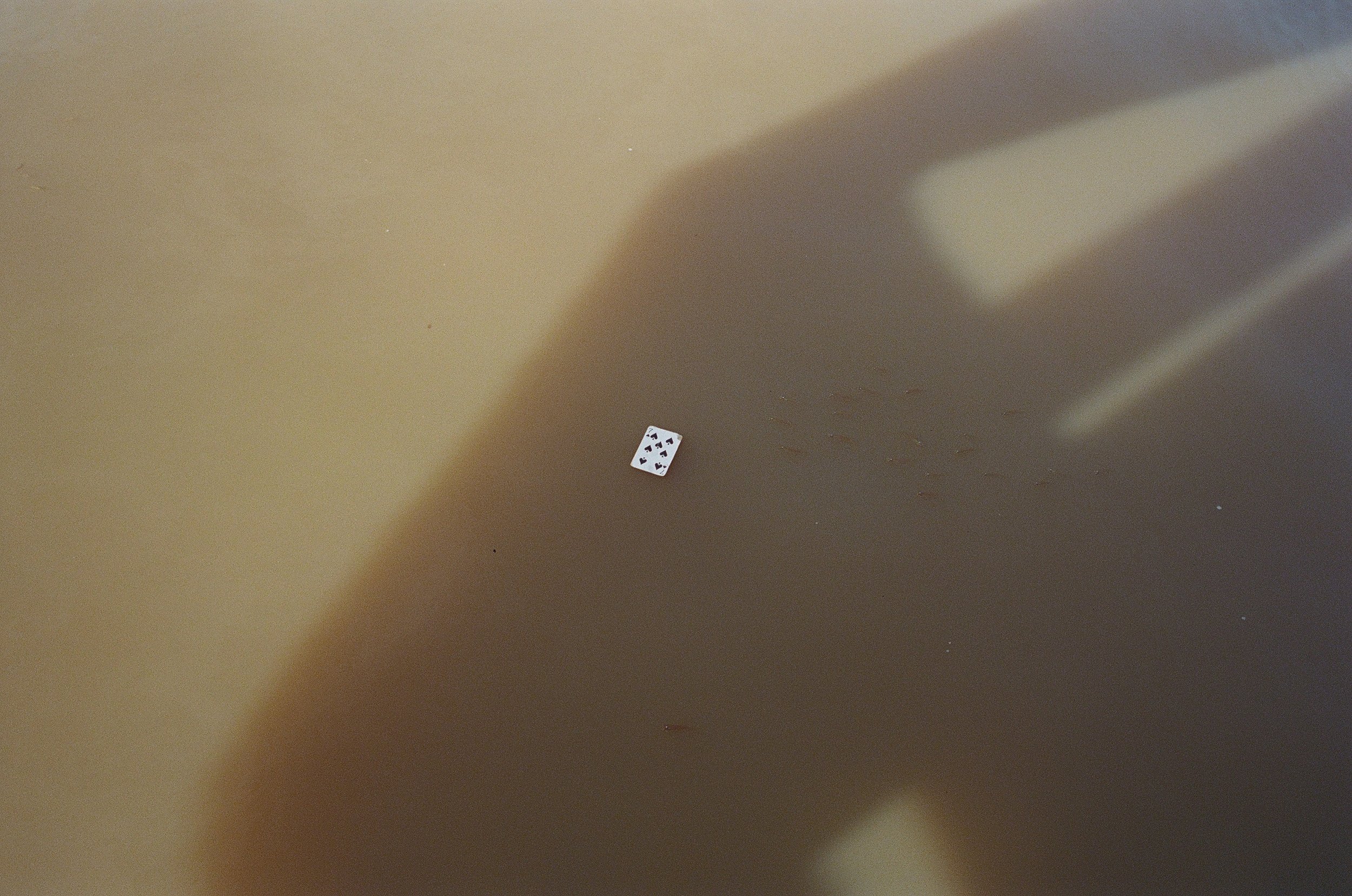  A playing card floating on the waters of Lake Nokué.  
