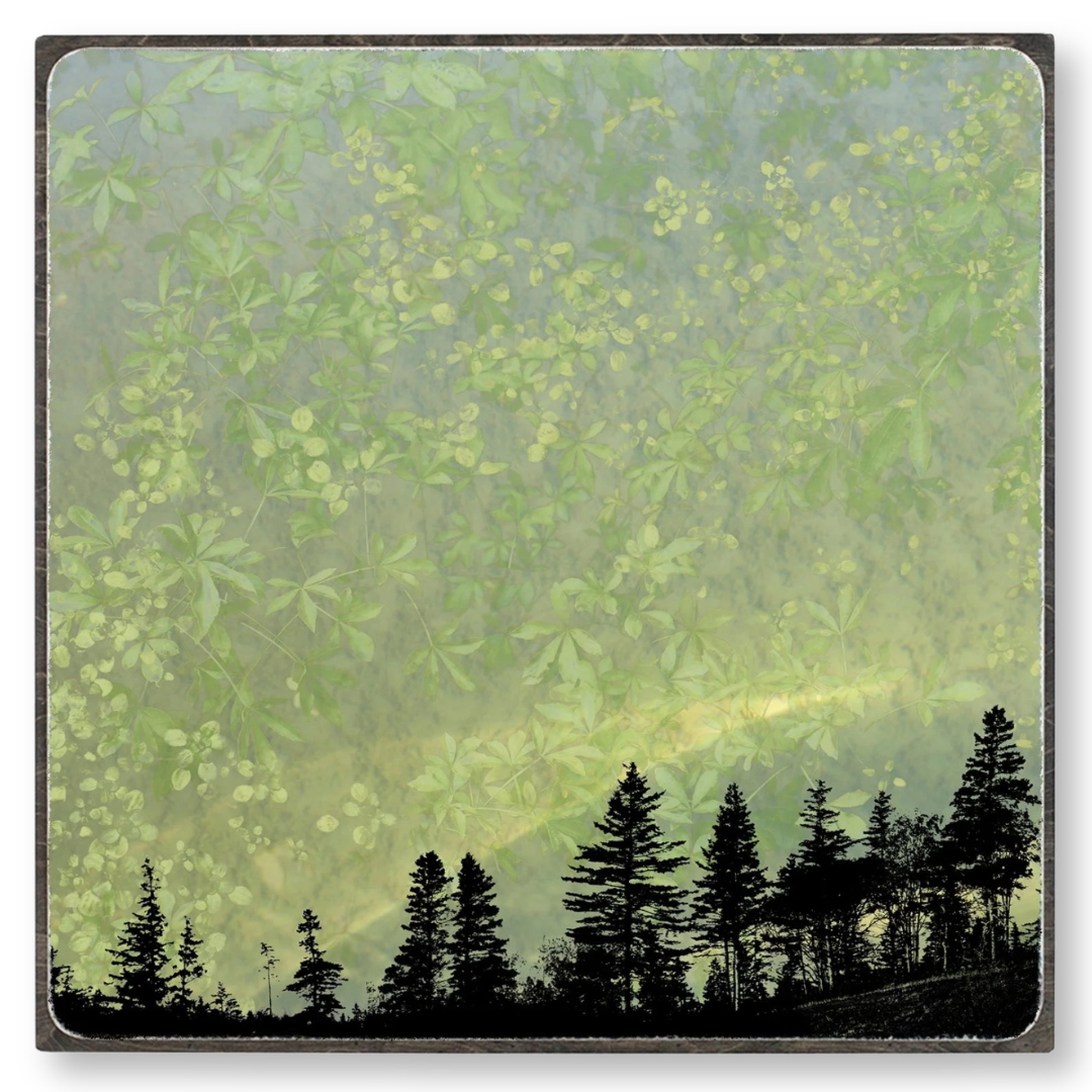 The Liveness in Me 2 -24x24- 890.png