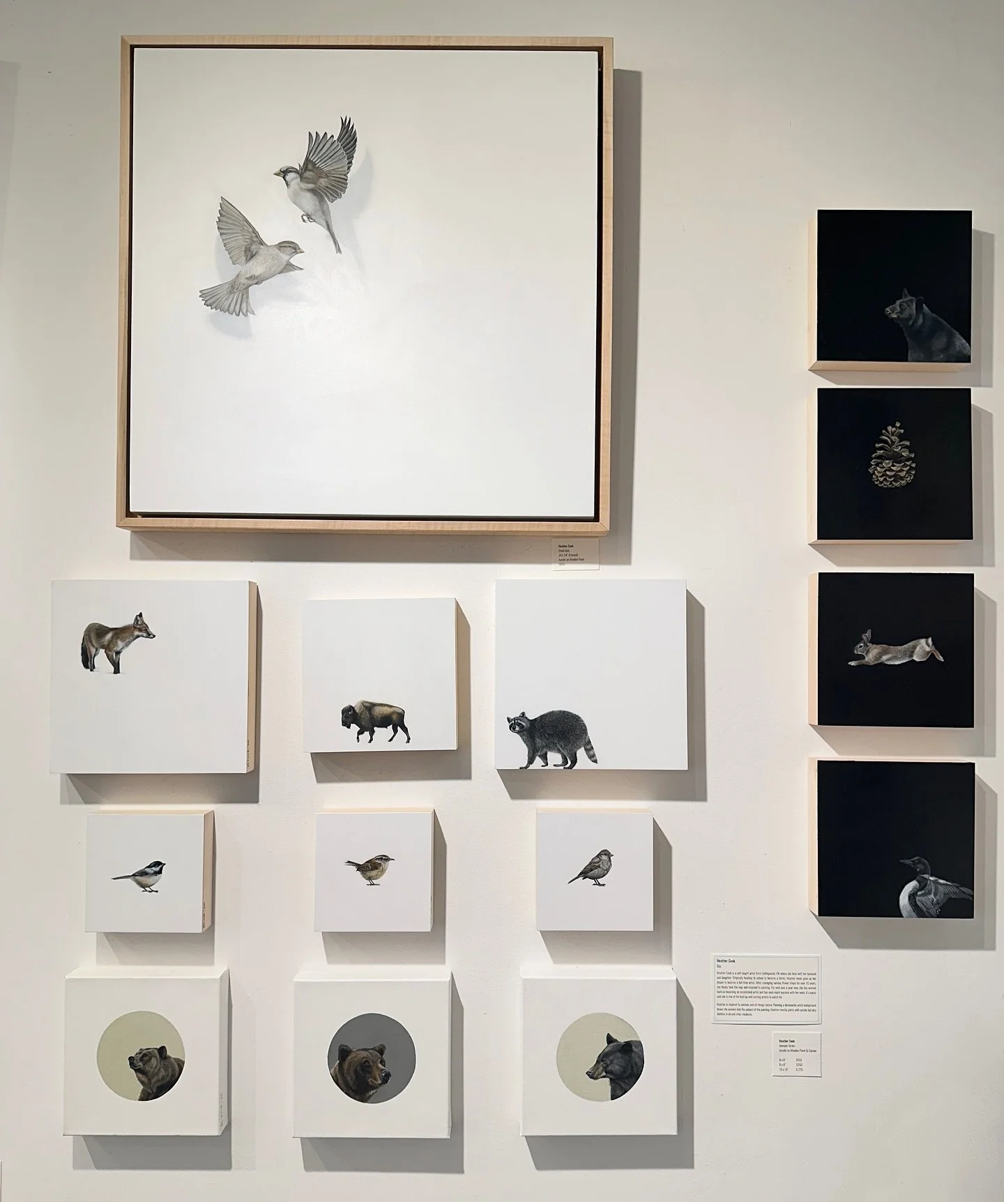 NEW✨ We are thrilled to have a new collection of paintings by Heather Cook in the gallery! Seriously you must pop by to see these pieces close up @heathercookart &lsquo;s pieces are so wonderful and truly so well done. 

Which one so you adore? I hav