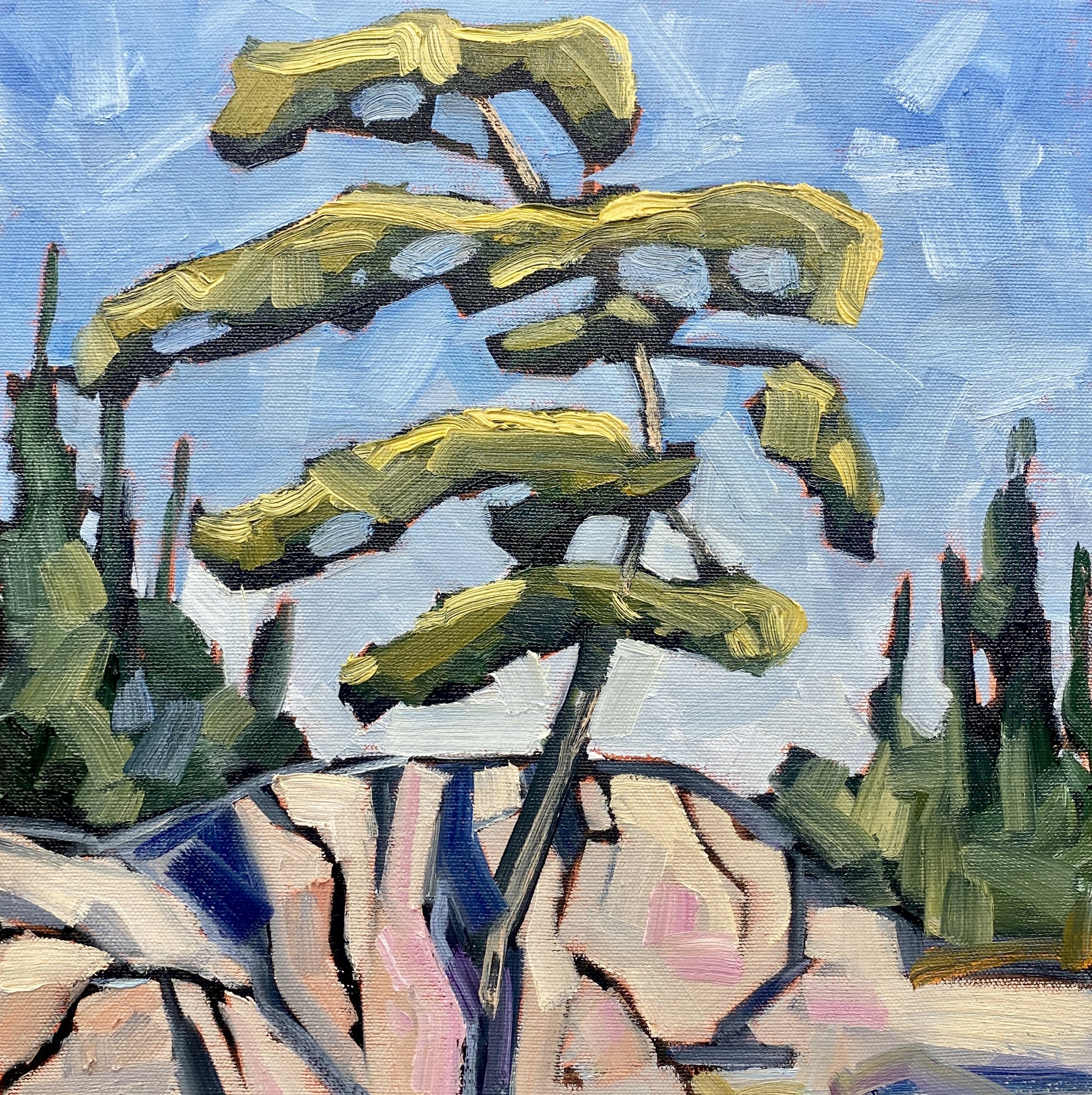 Jack on the cliff 12x12.jpg