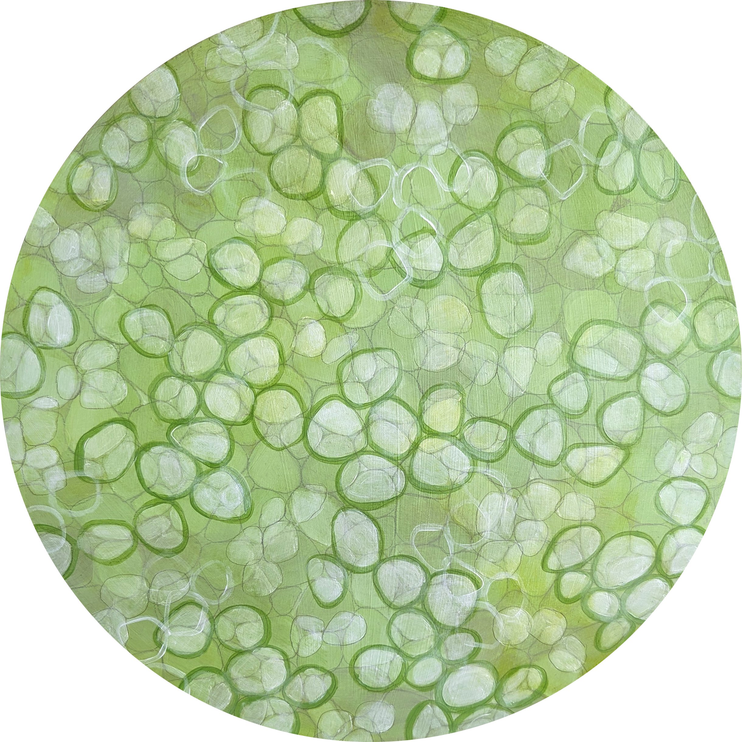 Taylor_Karen_Cucumber_AcrylicAndGraphite_Image1.jpg