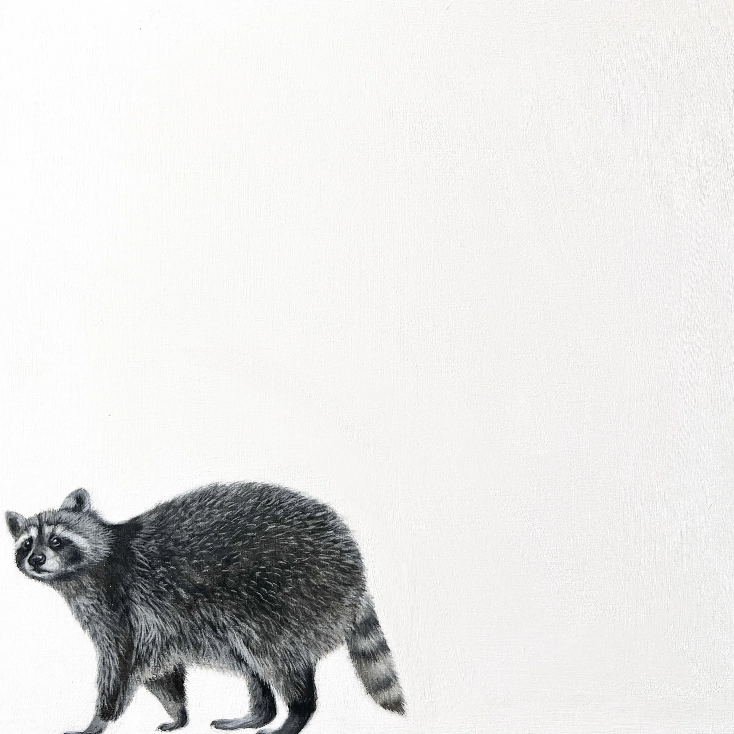 Heather Cook - "Raccoon" - 10" x 10"