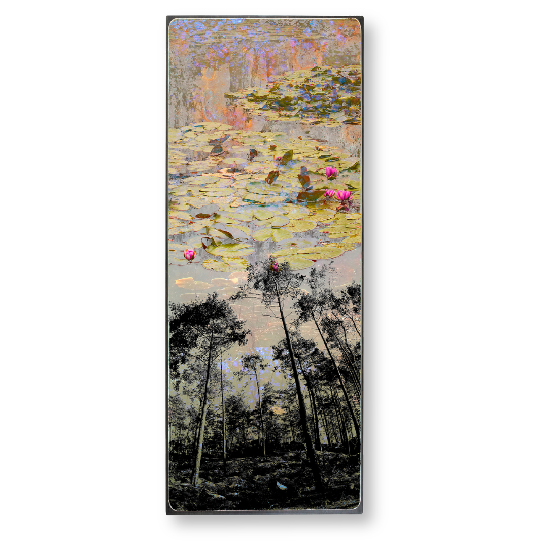 Foret de Nympheas - 24x60 - 2190 - Dropshadow.png