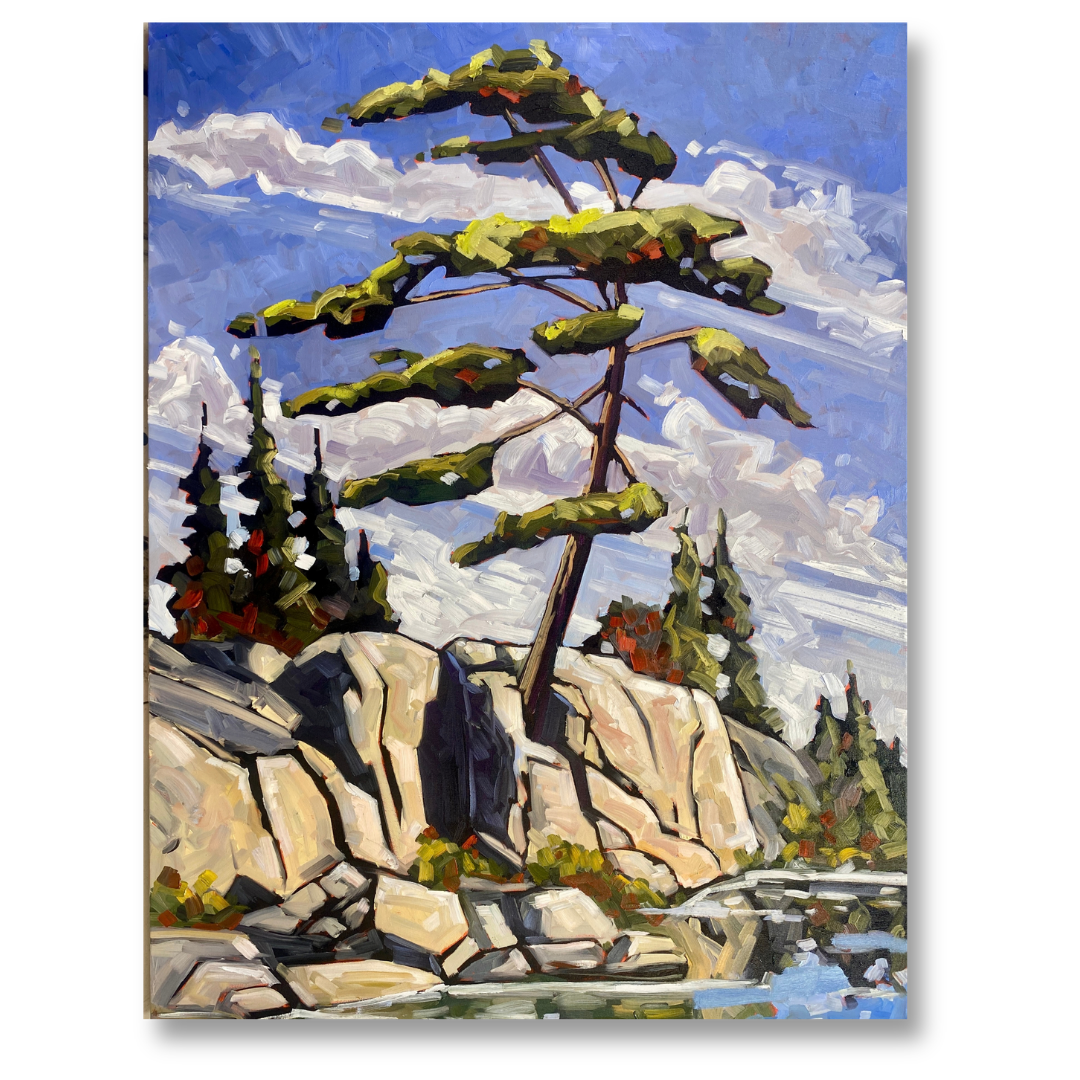 David Carmichael - Jack On The Rocks  - 40 x 30