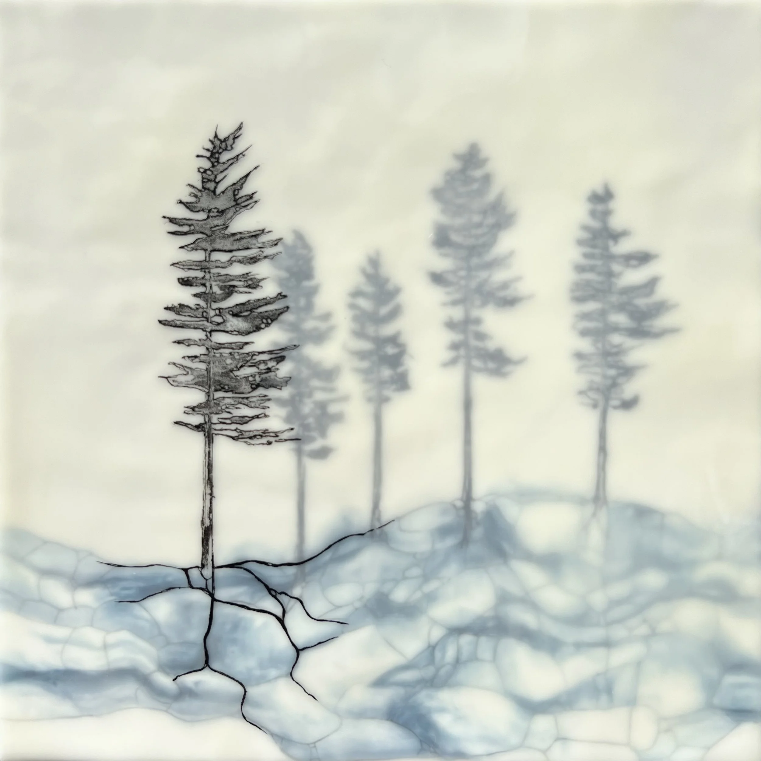 55. Angela Lane - "Foggy Morning Joy"