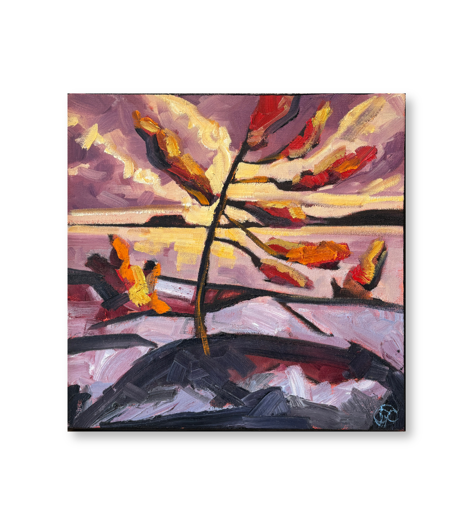 DavidCarmichael_12x12.png