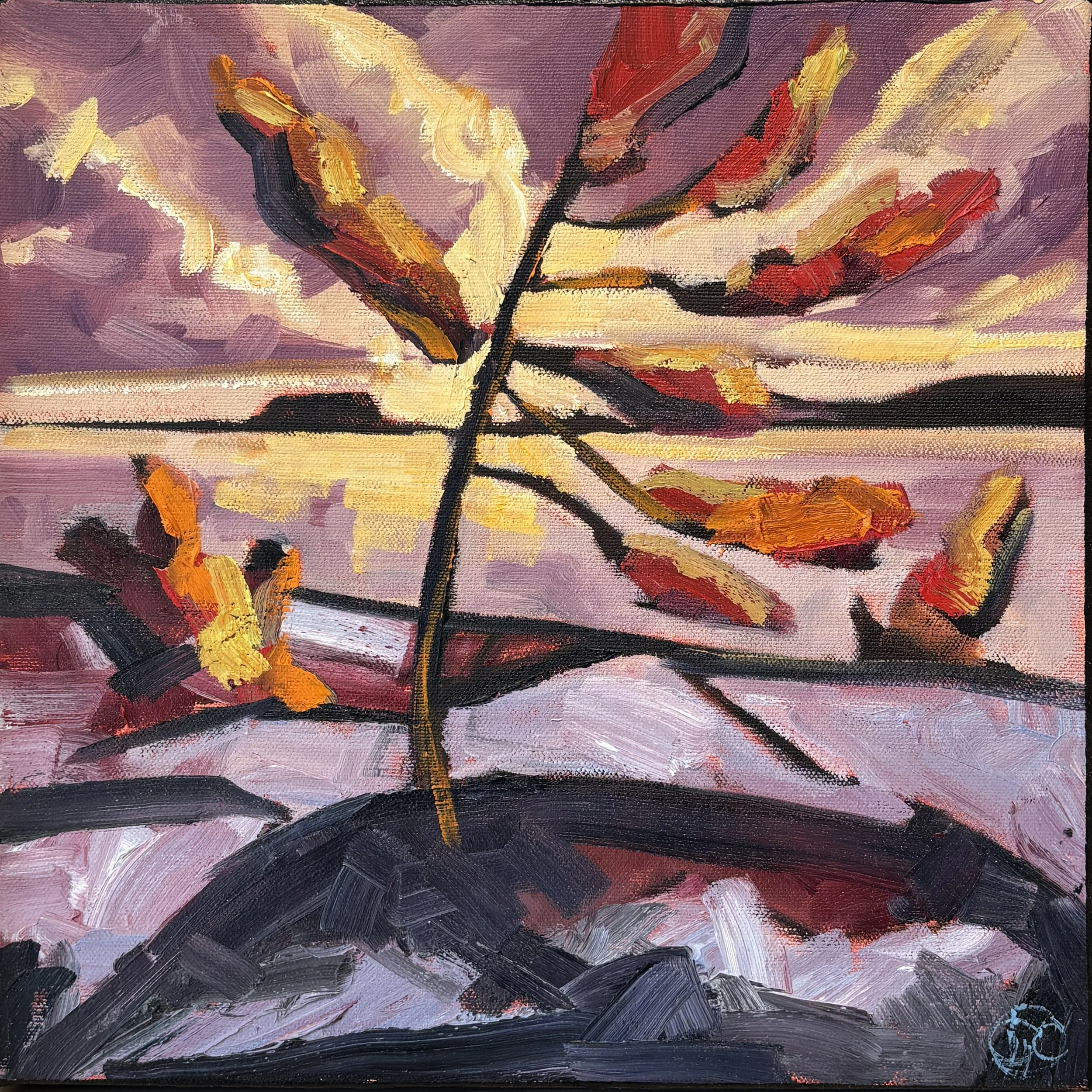 DavidCarmichael_12x12.JPG