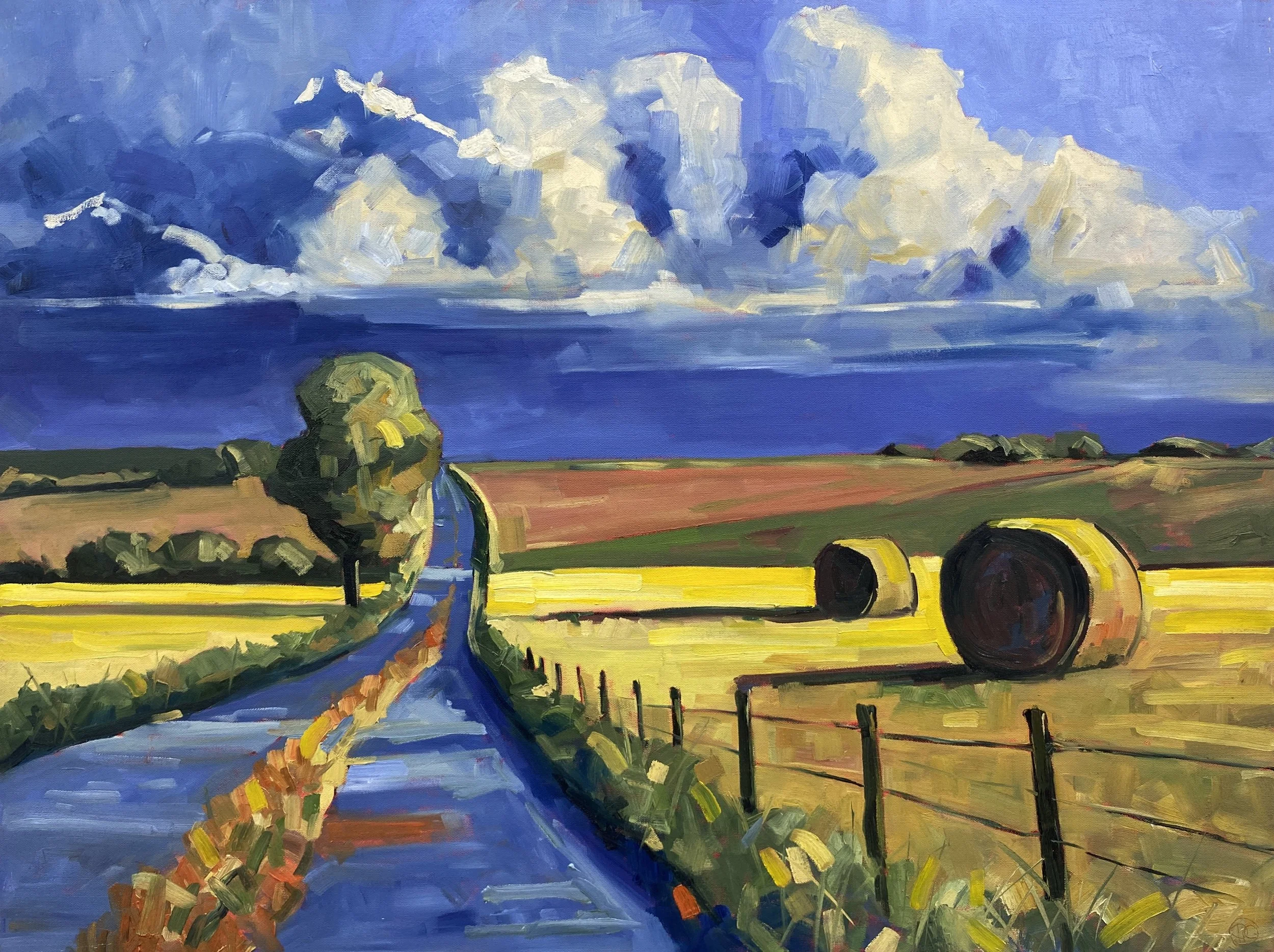Bale me out 30x40.jpg