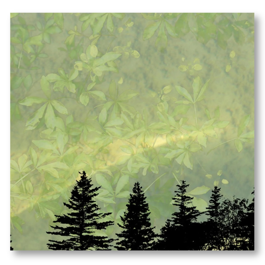 The Liveness in Me 2 -24x24- 890 - detail .png