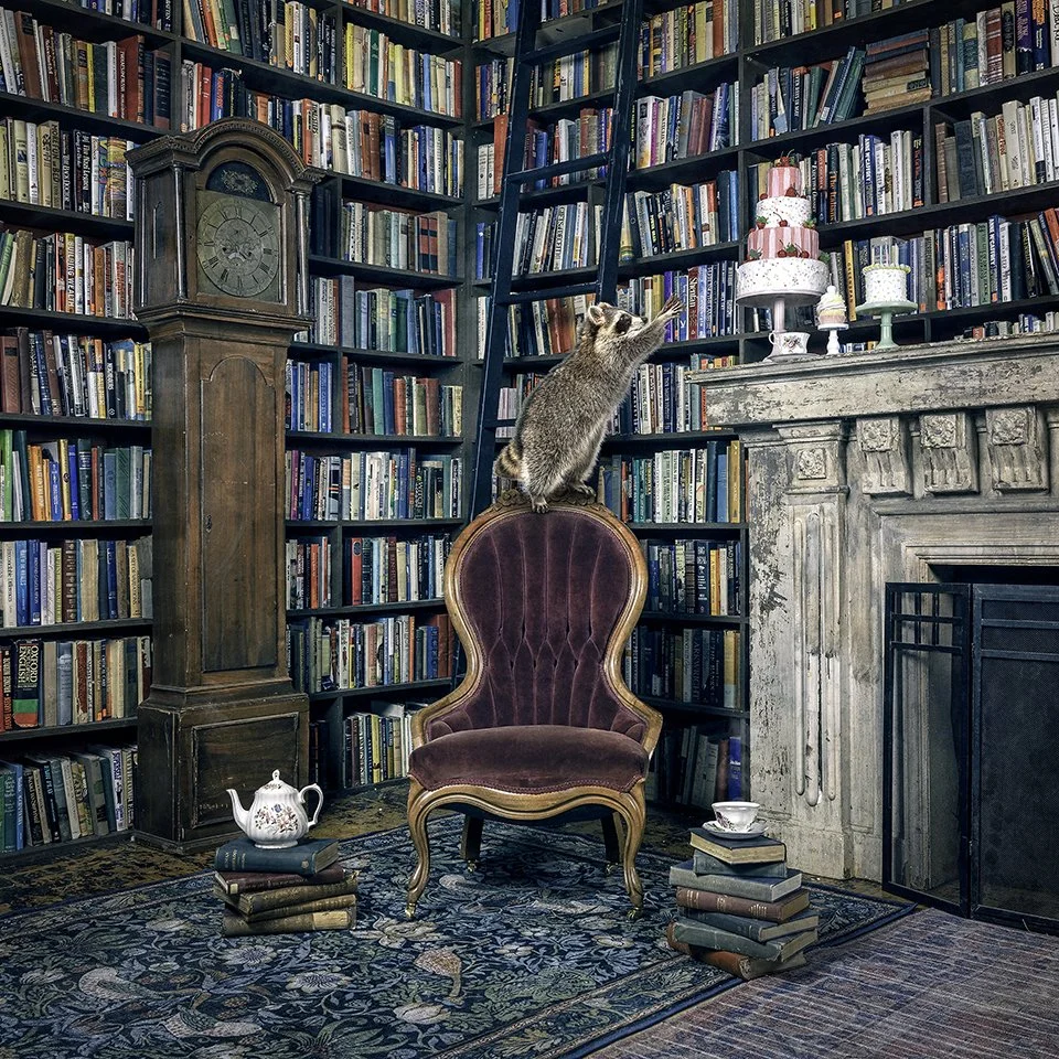 44. Morgan Jones - "A Sweet Read"
