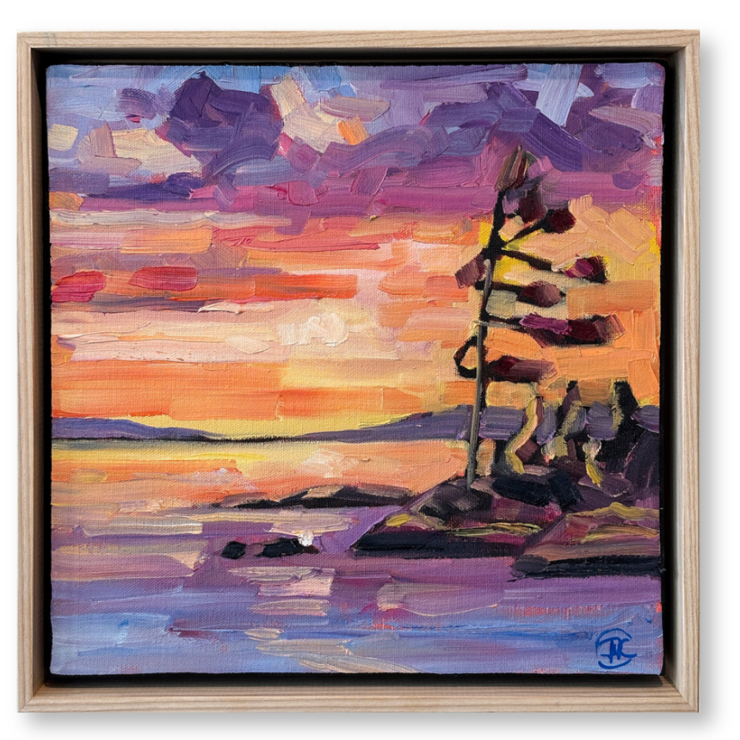 David Carm. wiskin Island (1).png
