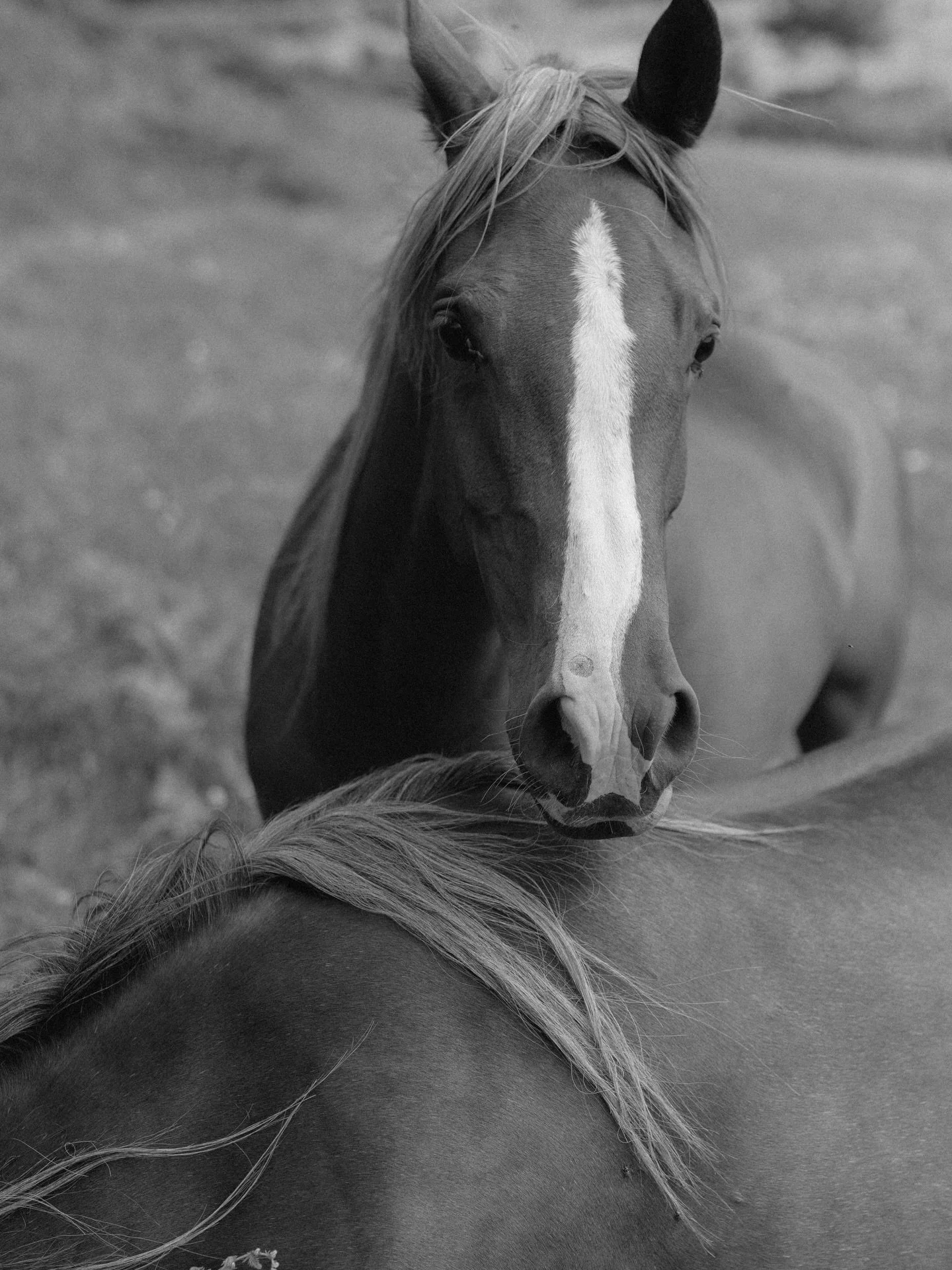 2026- easing back into work now after a transformative year learning how to be a mom to our sweet June. I&rsquo;m excited for all that we&rsquo;ll capture together.
.
I&rsquo;ll be rolling out some more details about my services over the next month o