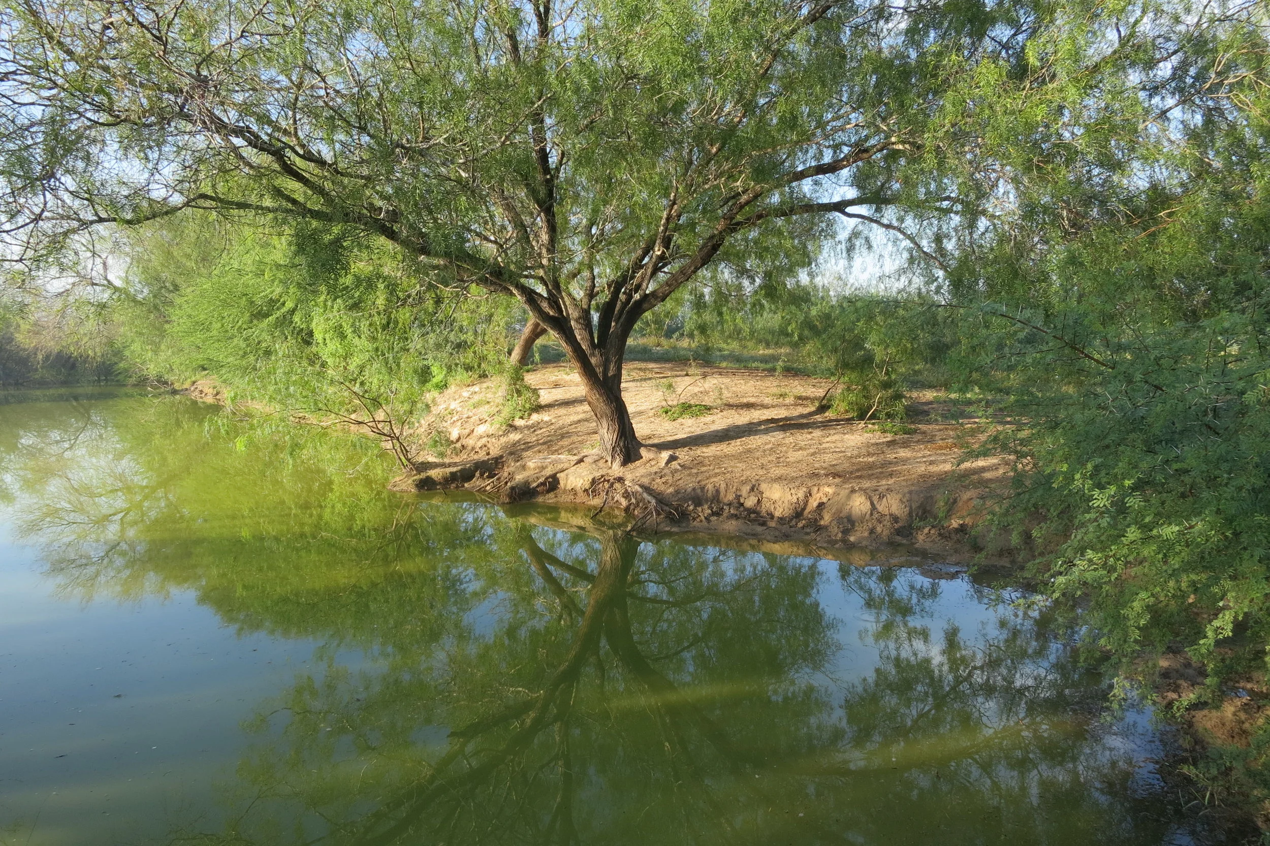 LV 3 Wetland Delineation.JPG