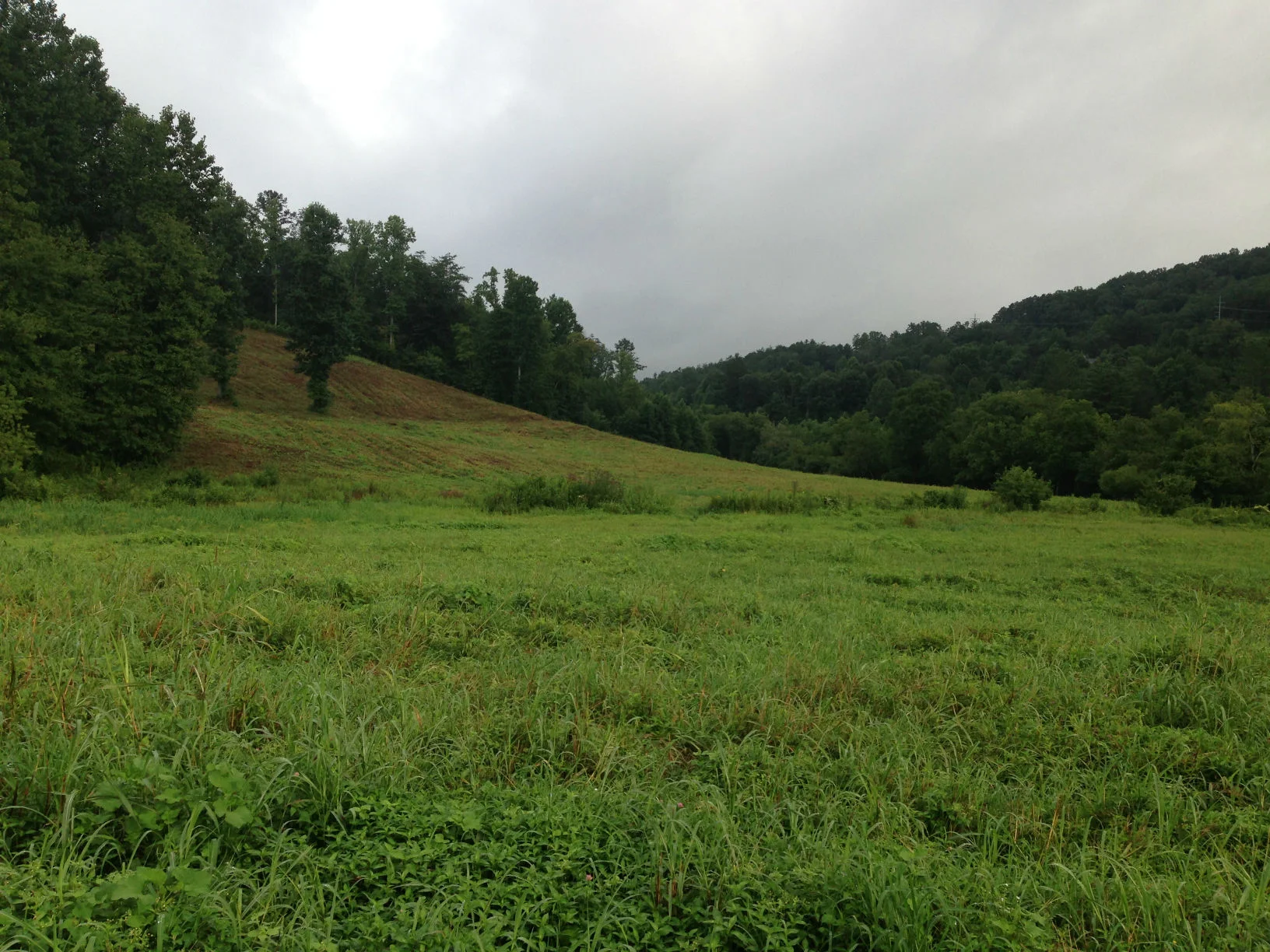 west_nc_3.jpg