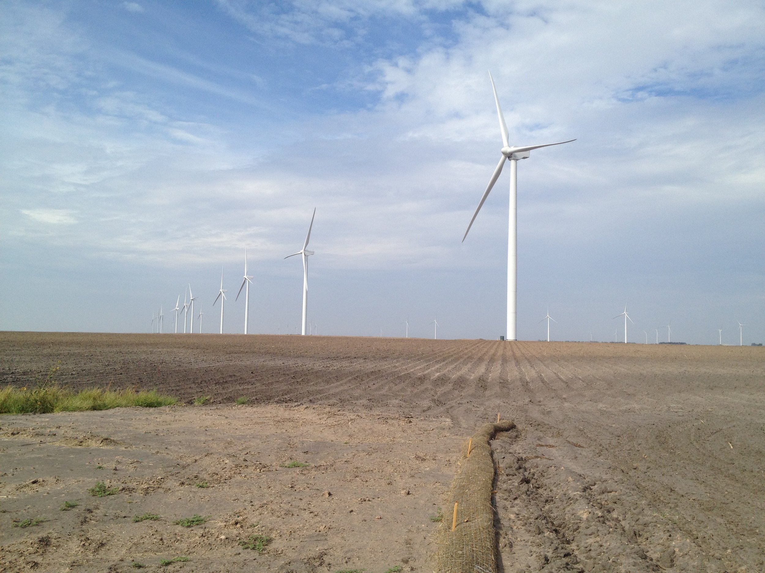 Los Vientos I and II Wind Projects - Constraints Analysis