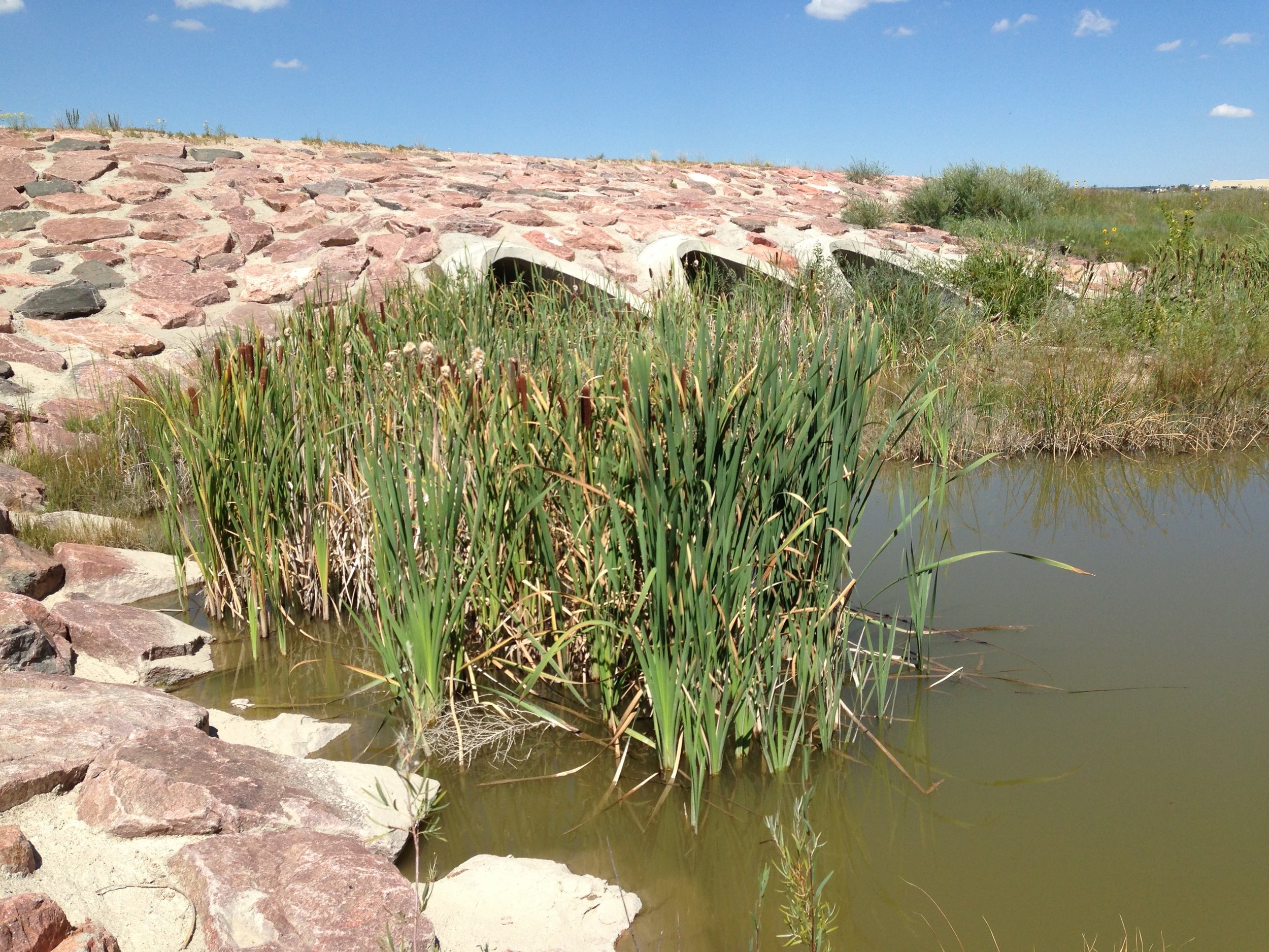 Golden West Wind Energy Project - Waters of the US Assessment