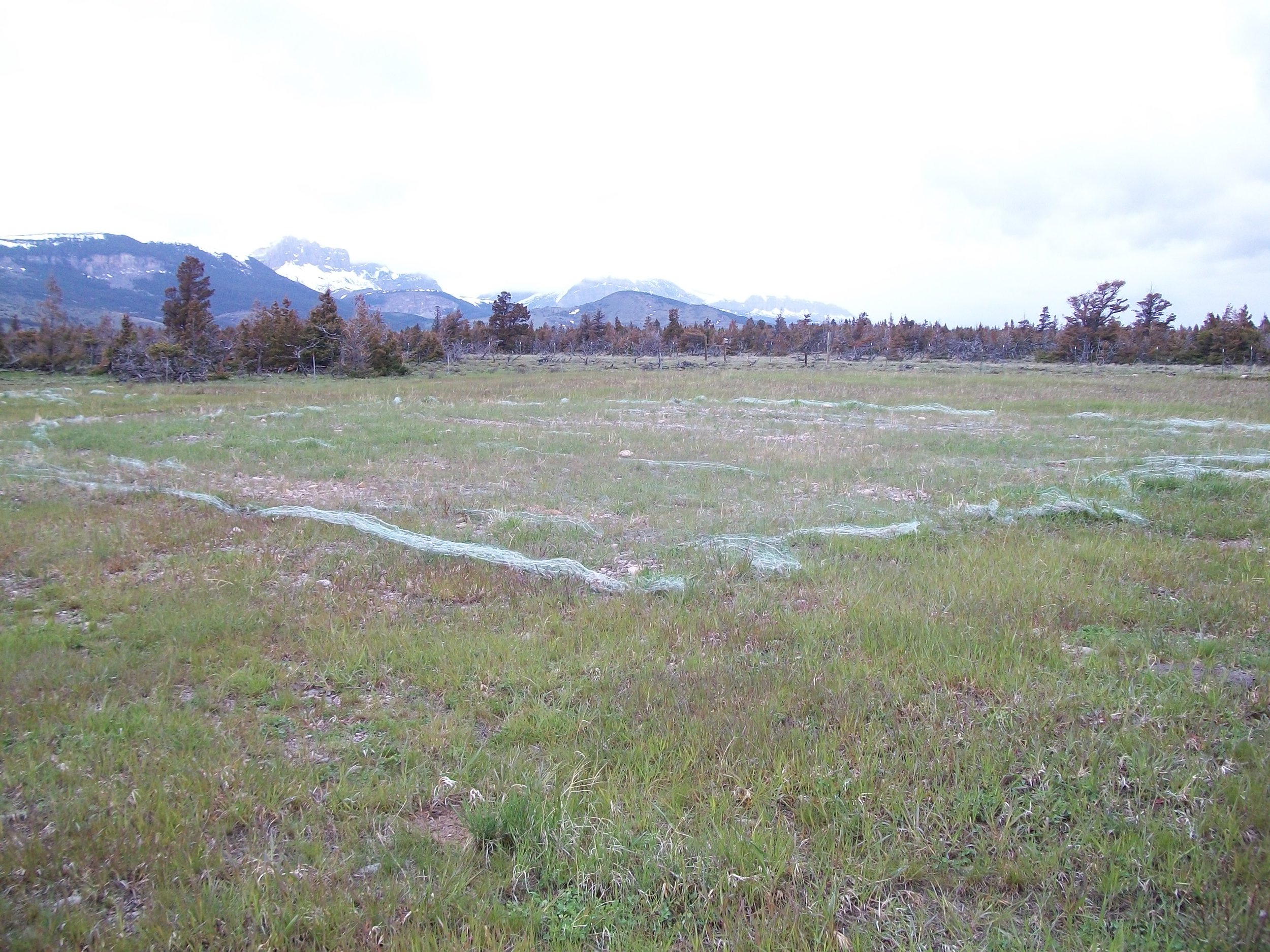 Blackleaf Gas Wellhead Sites - Soil Remediation