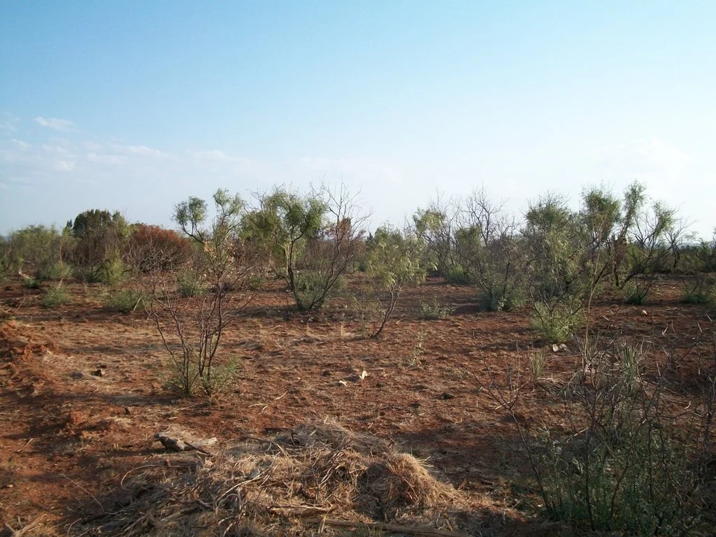 Comanche Ridge Wind Project - Constraints Analysis
