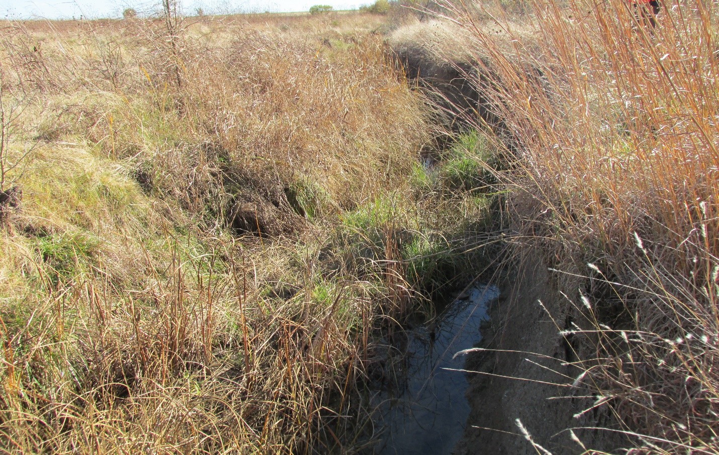 Frontier Wind Project - Waters of the US Assessment