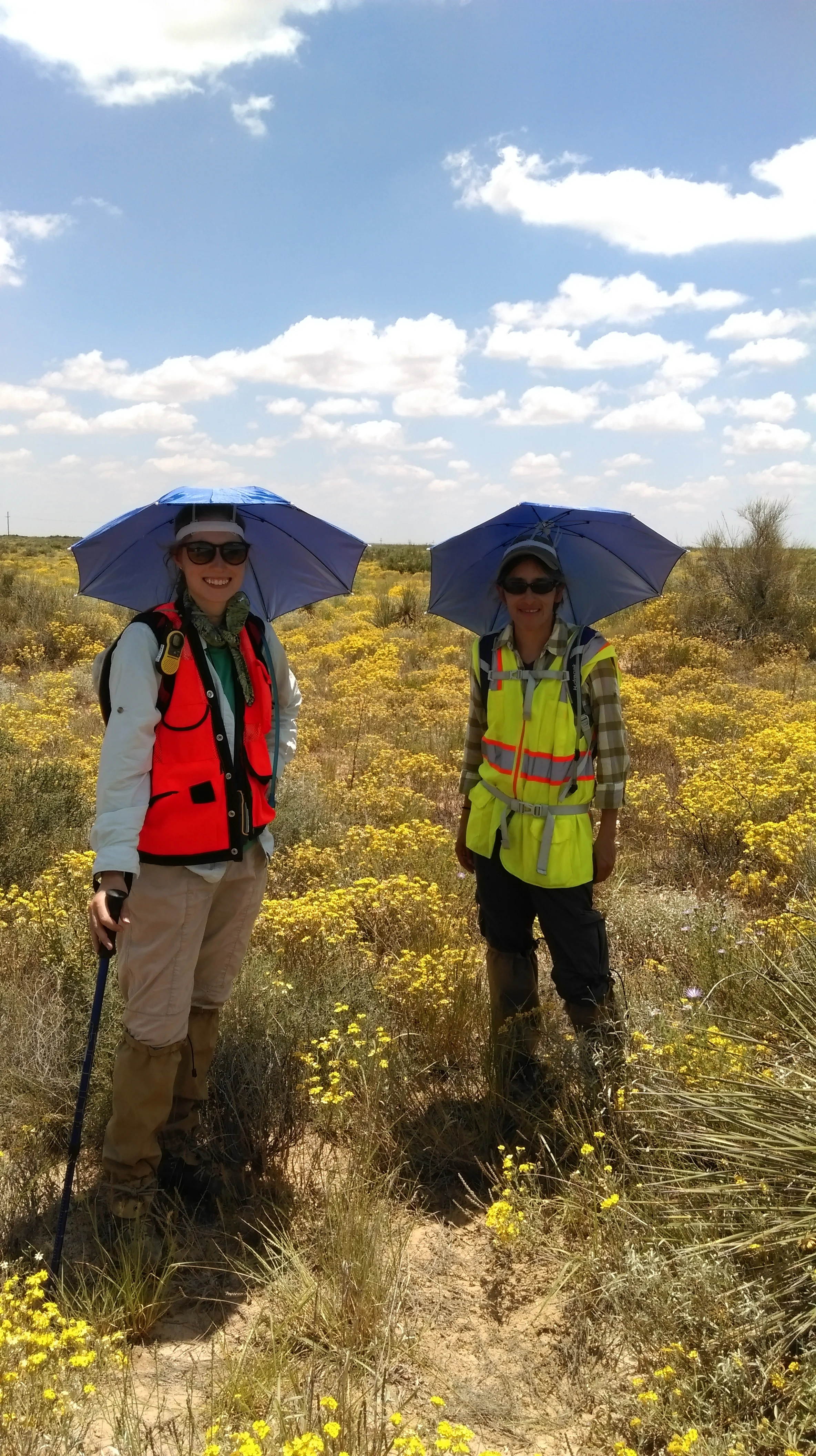 Jen and Angelita THL Survey 2 .jpg