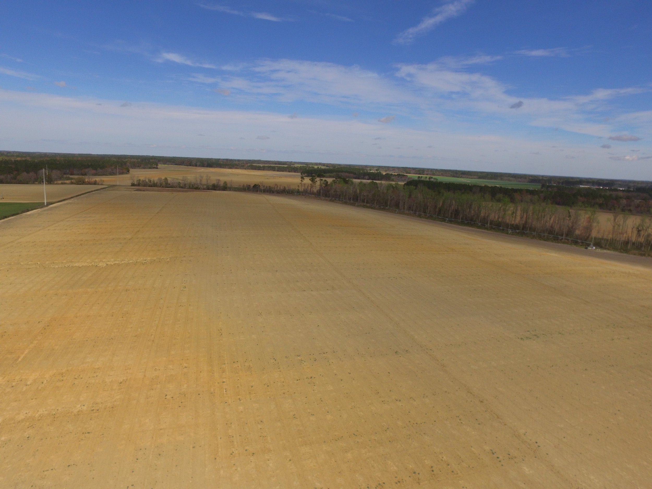 DJI_0006.jpg