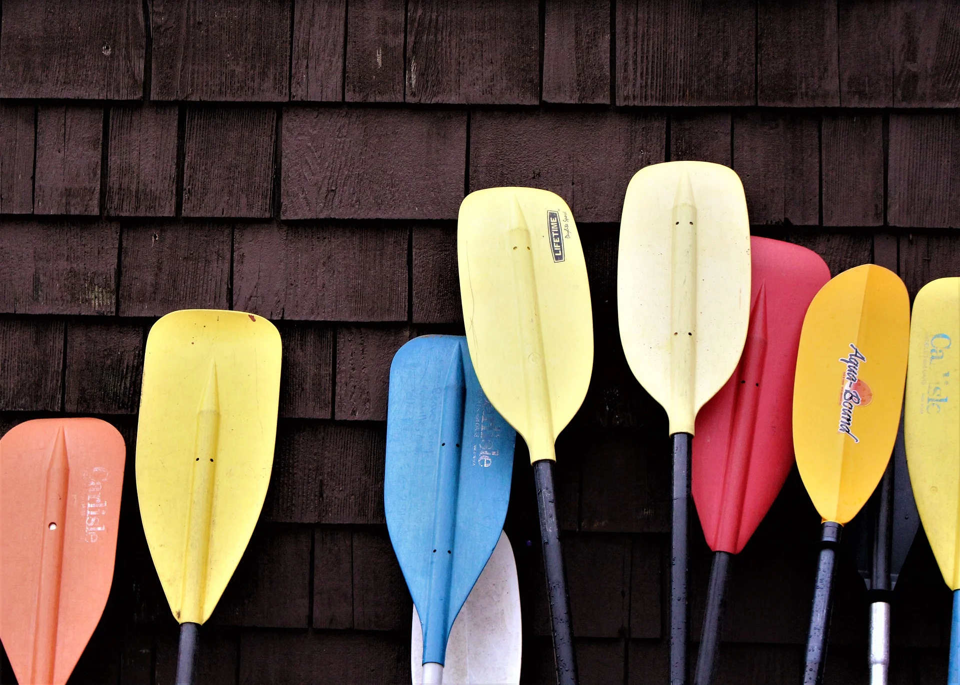 paddle-3414020_1920.jpg