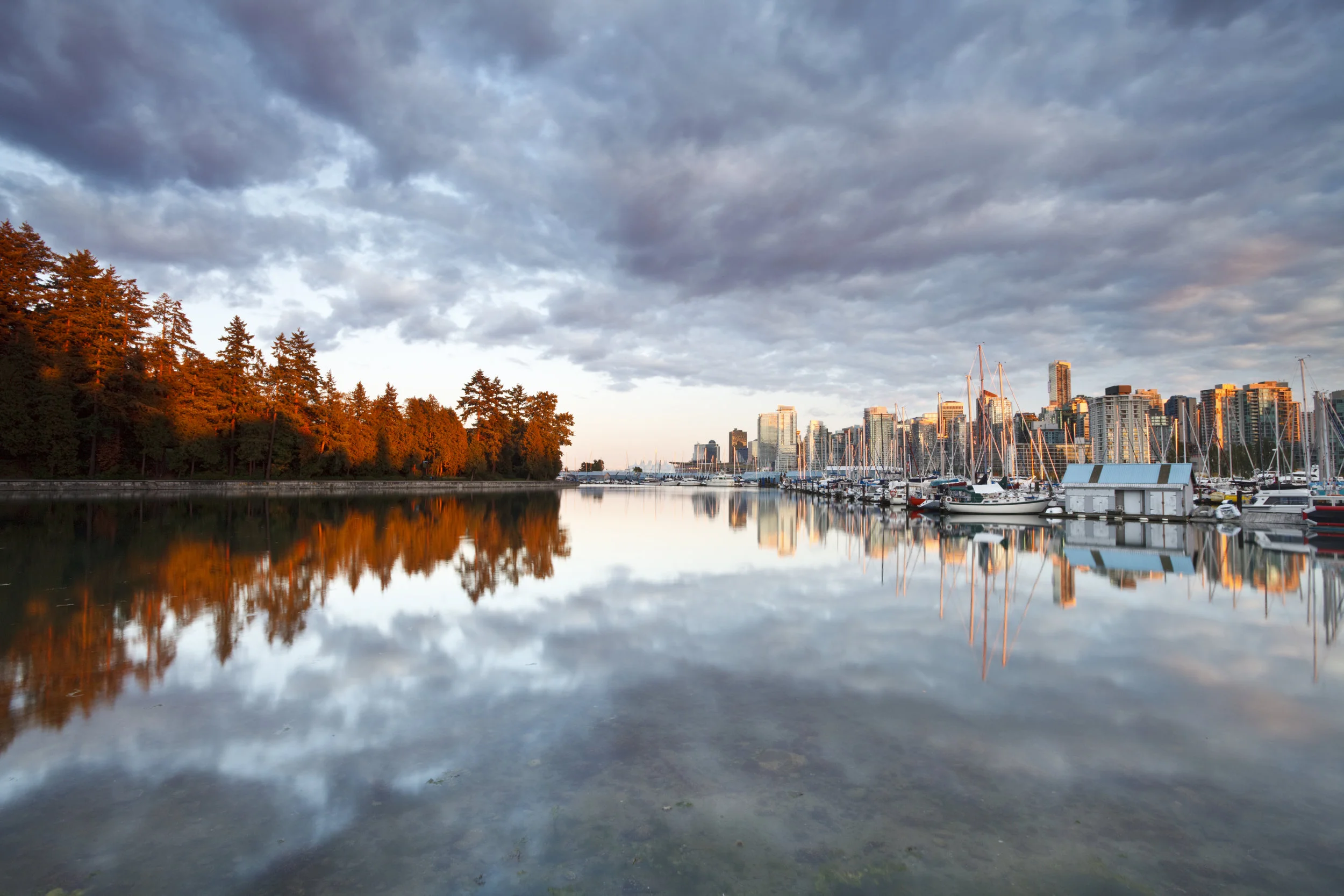 iStock_11071706_XLARGE (1).jpg