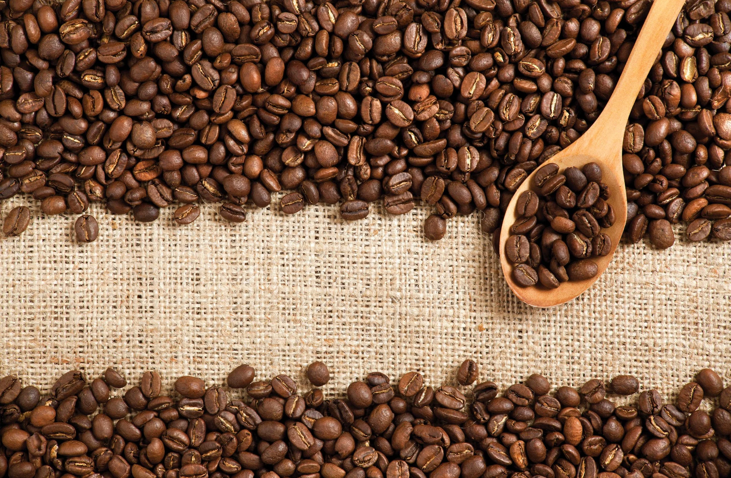 Coffee-Beans-Photos.jpeg