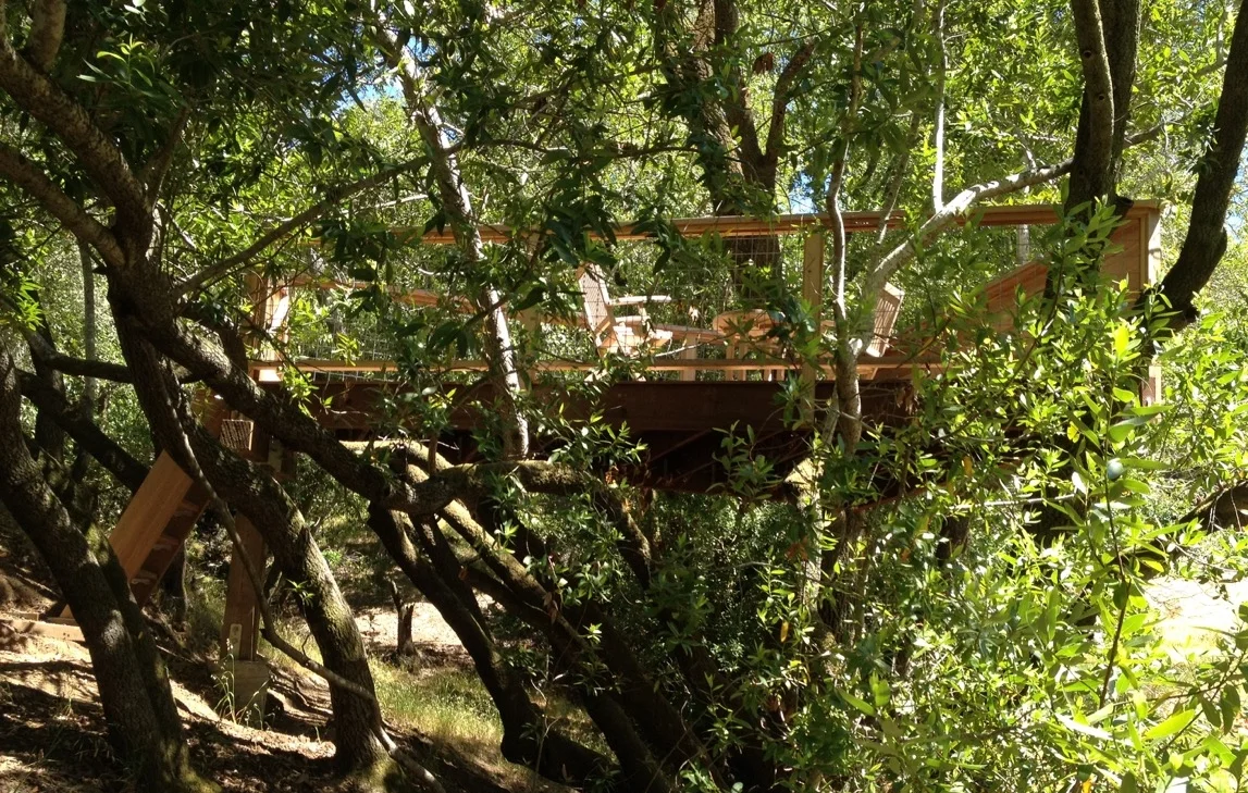 San Anselmo Elevated Tree Deck