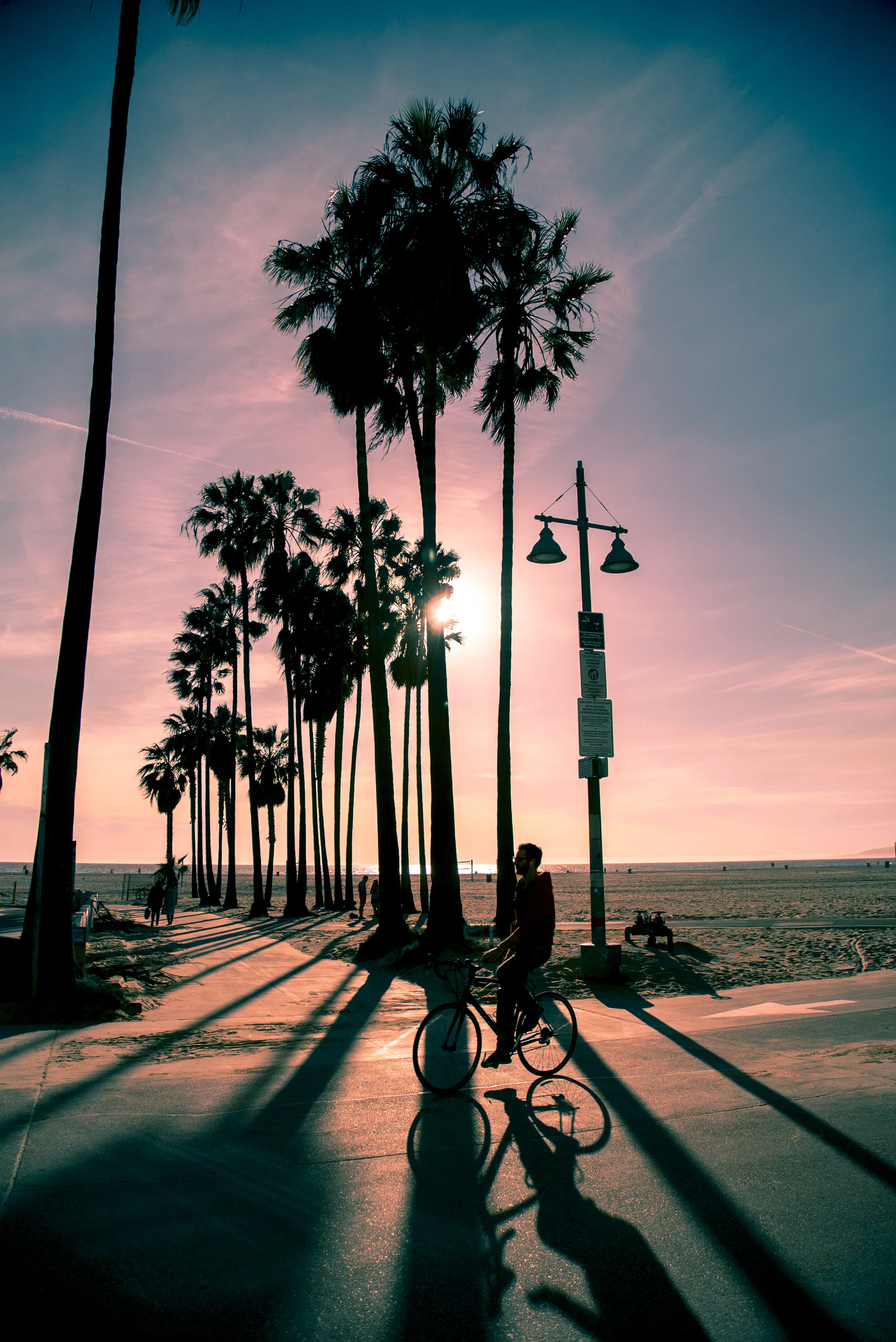 VENICE_BIKER.jpg