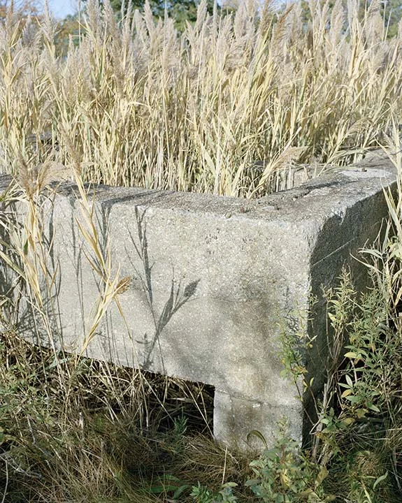 myhay.jpg