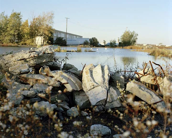 seagulgraveyard.jpg