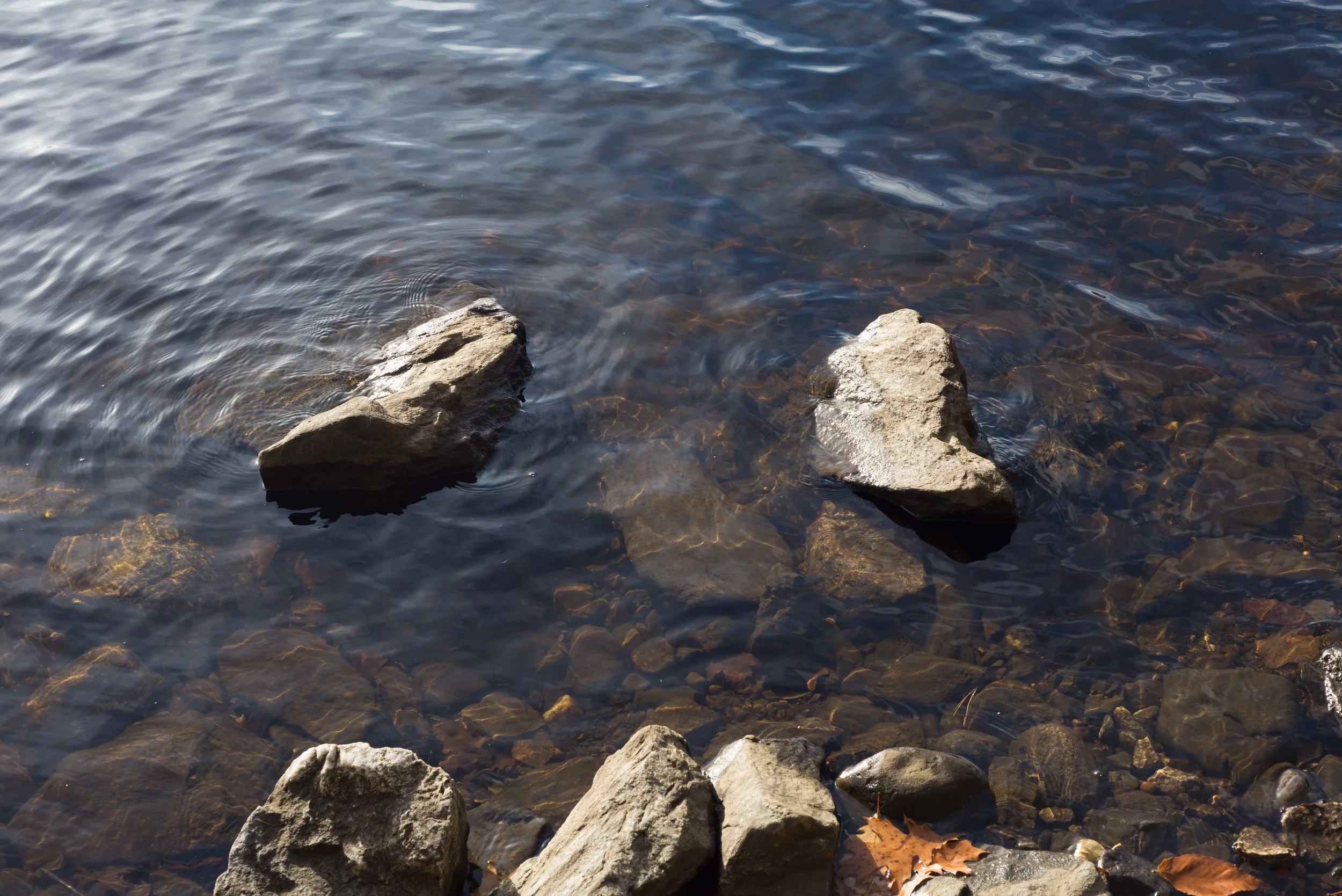 DSC_2186.jpg