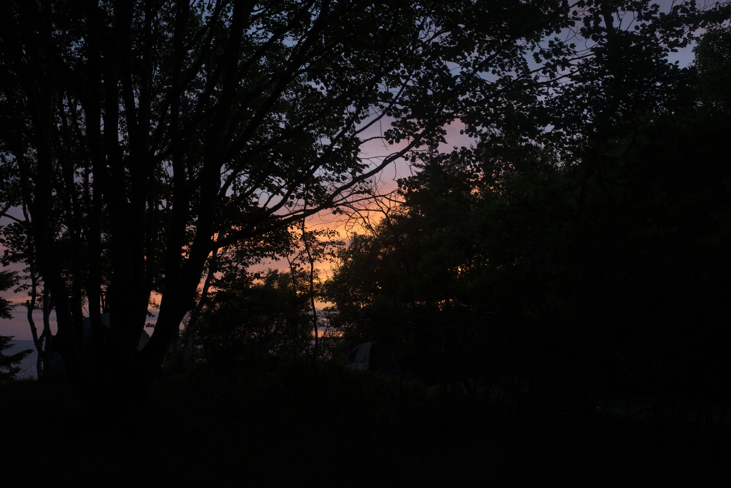 DSC_9200.jpg