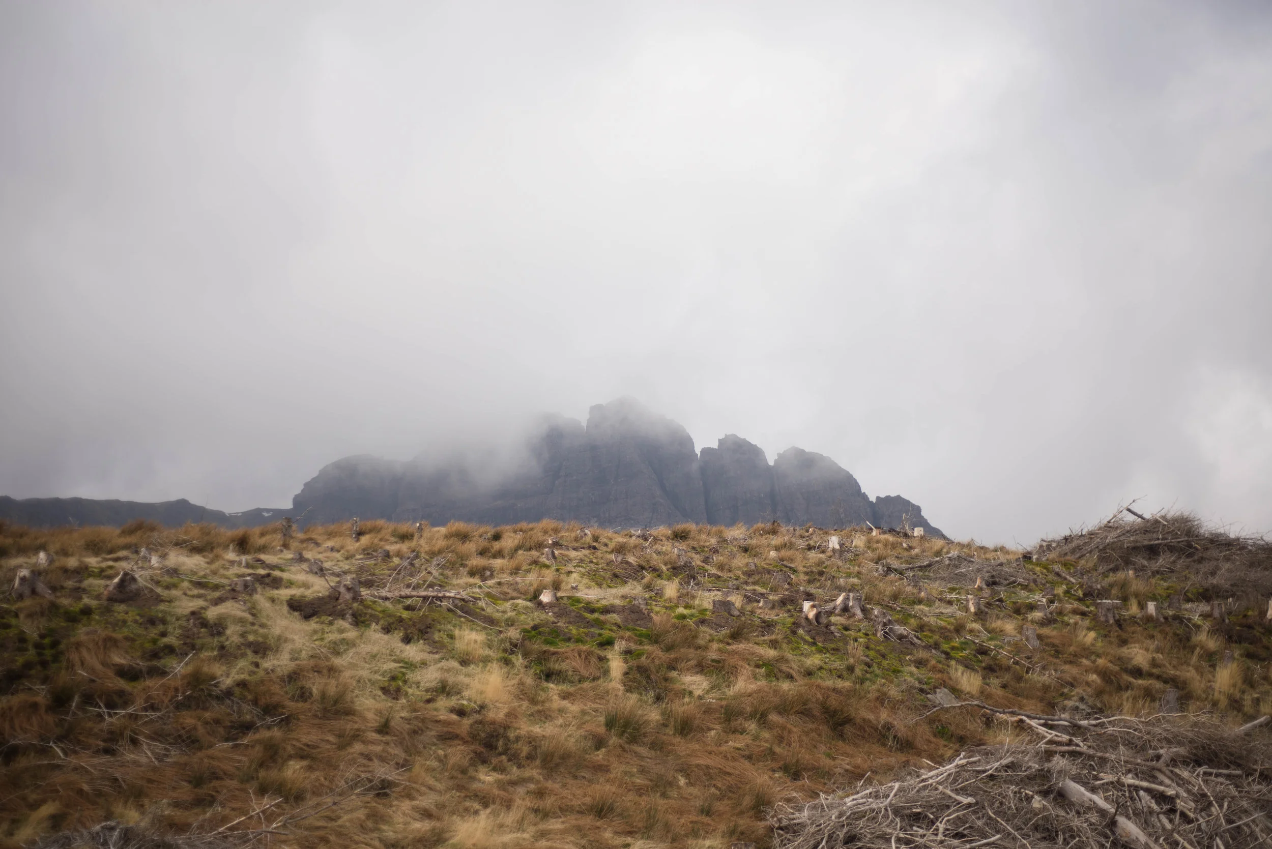 DSC_0512.jpg