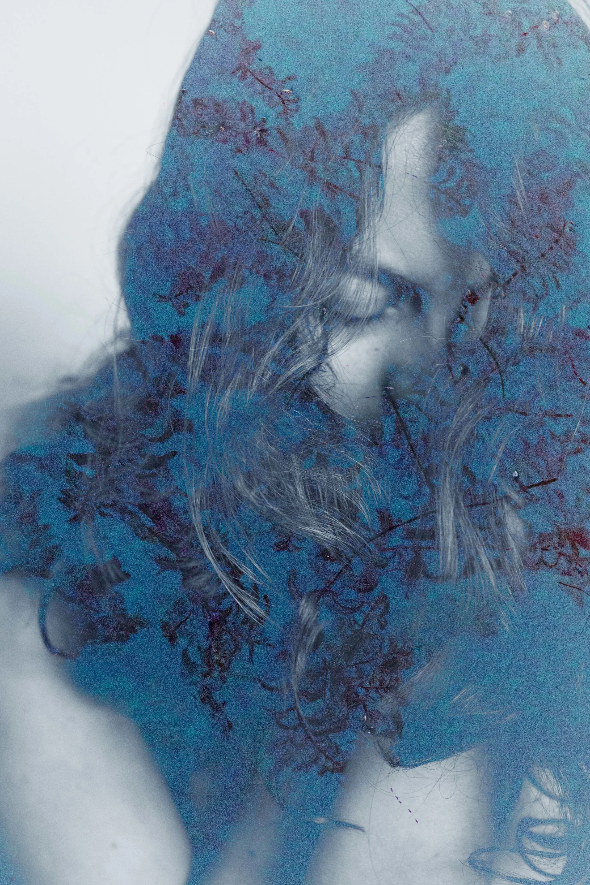 blueweeds.jpg
