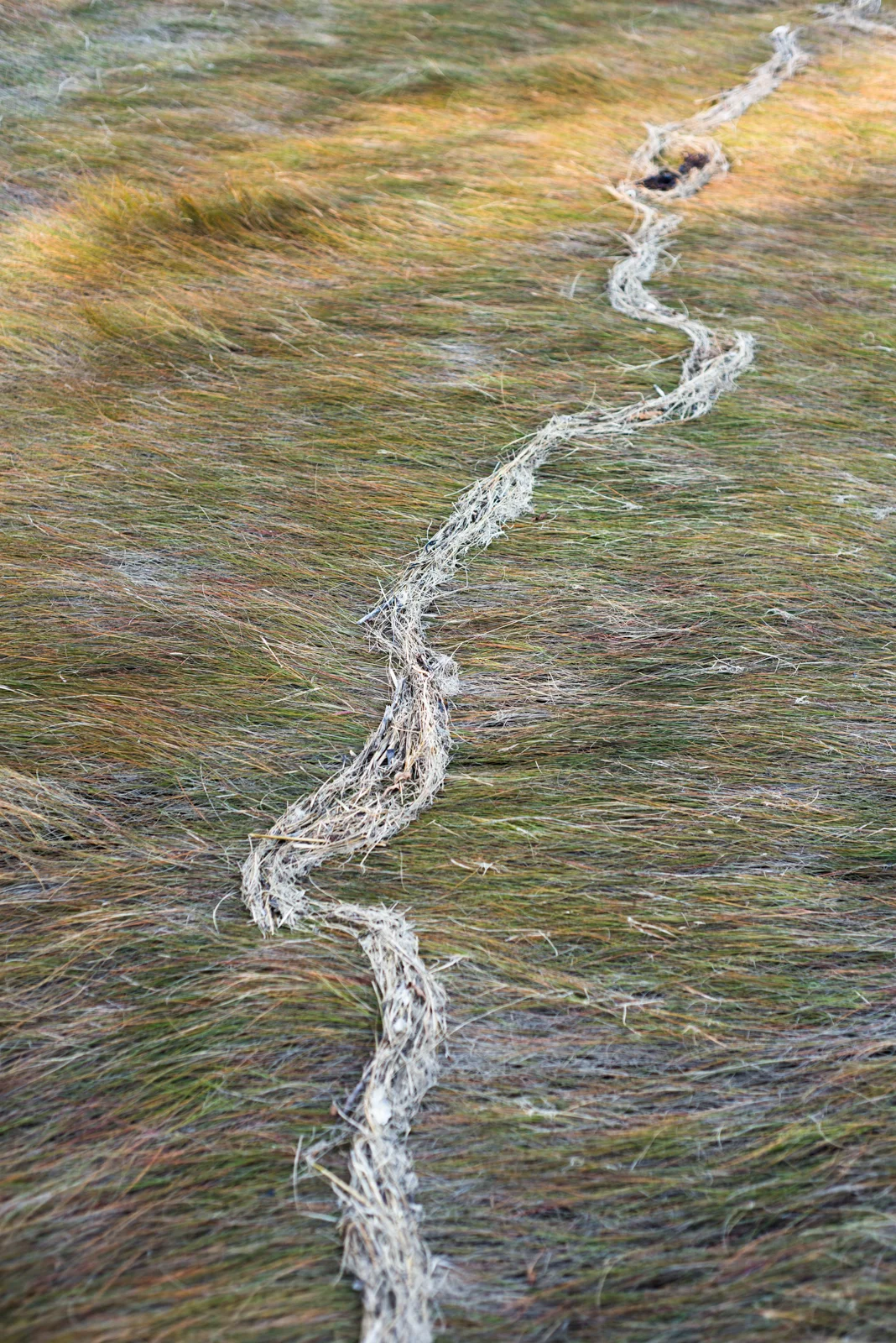 theinbetween_007.jpg