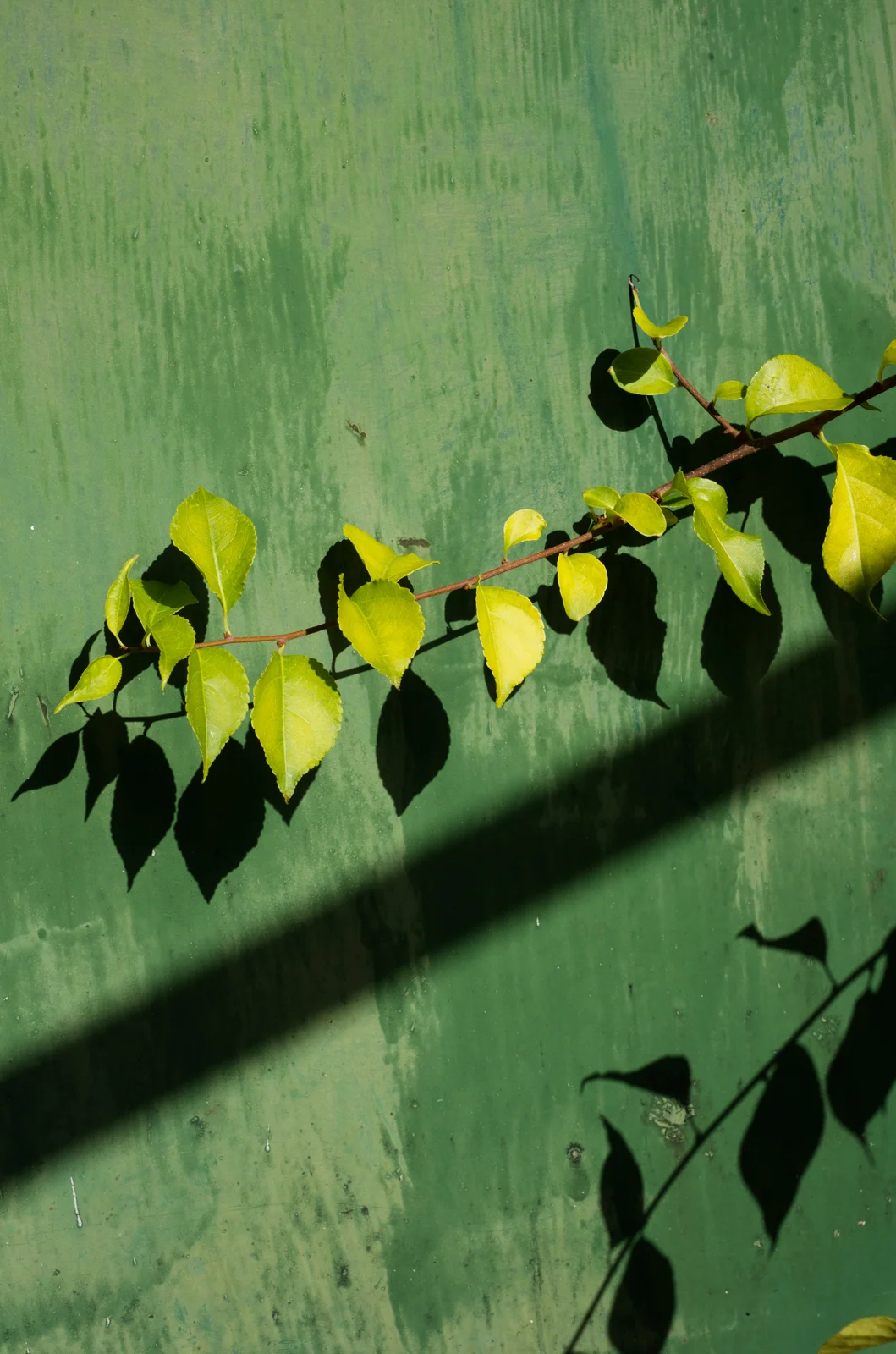 theinbetween_010.jpg