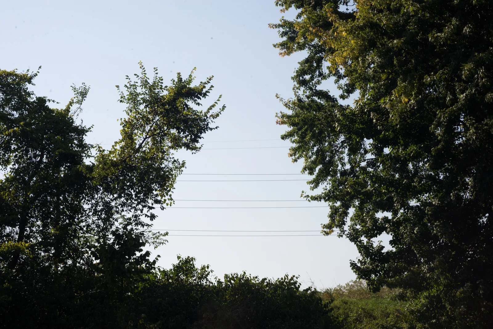 DSC_3615.jpg