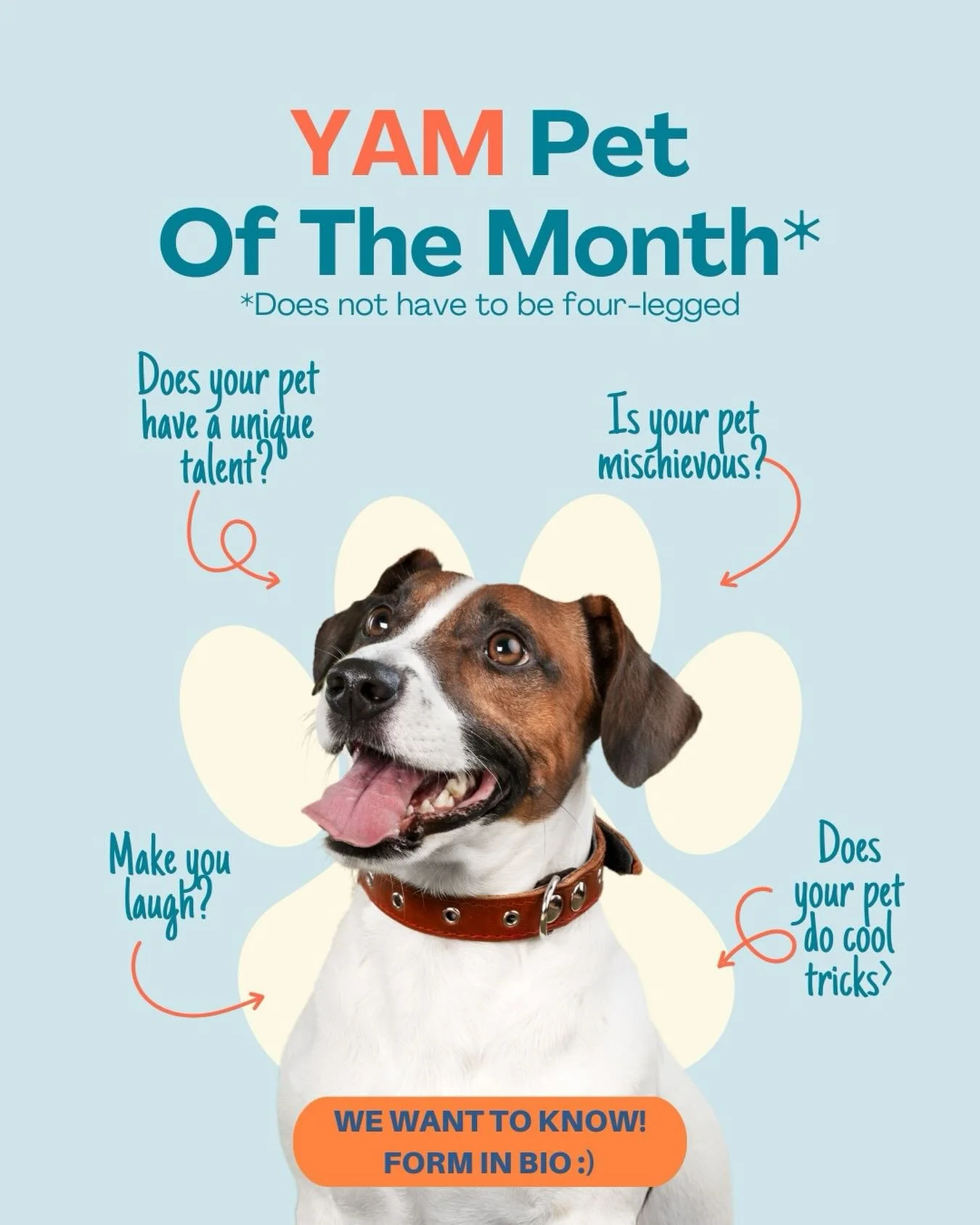 Community at YAM includes everyone&hellip; even the ones with tails, wings, or tiny turtle legs 🐕🐈🐦🐢🐠💛

Share about your beloved pet for a chance to be featured as YAM&rsquo;s Pet of the Month! Form is in our bio!

#youngadultsministry #kalosya