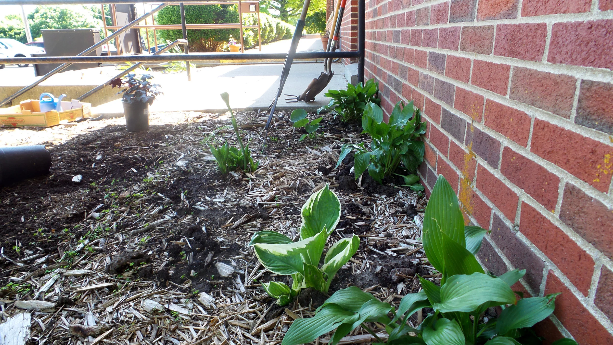 20160512_095157.jpg