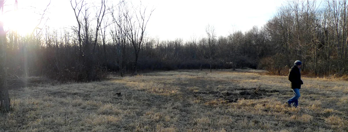 OR-field.jpg