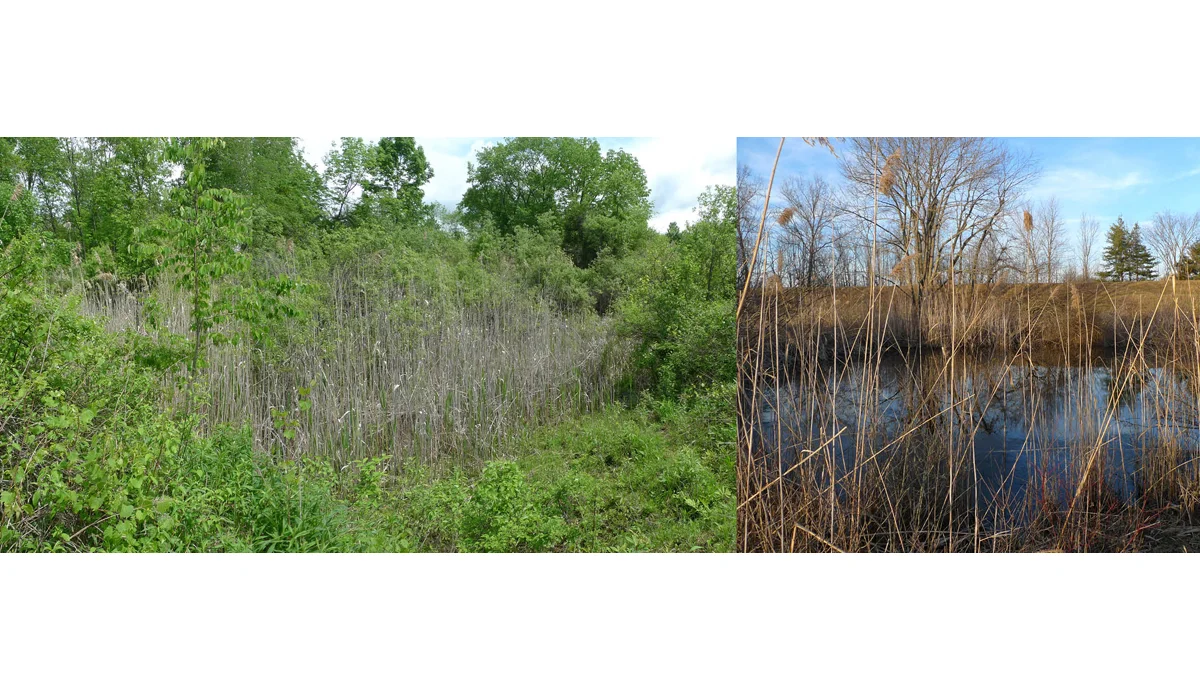 OR-ponds.jpg
