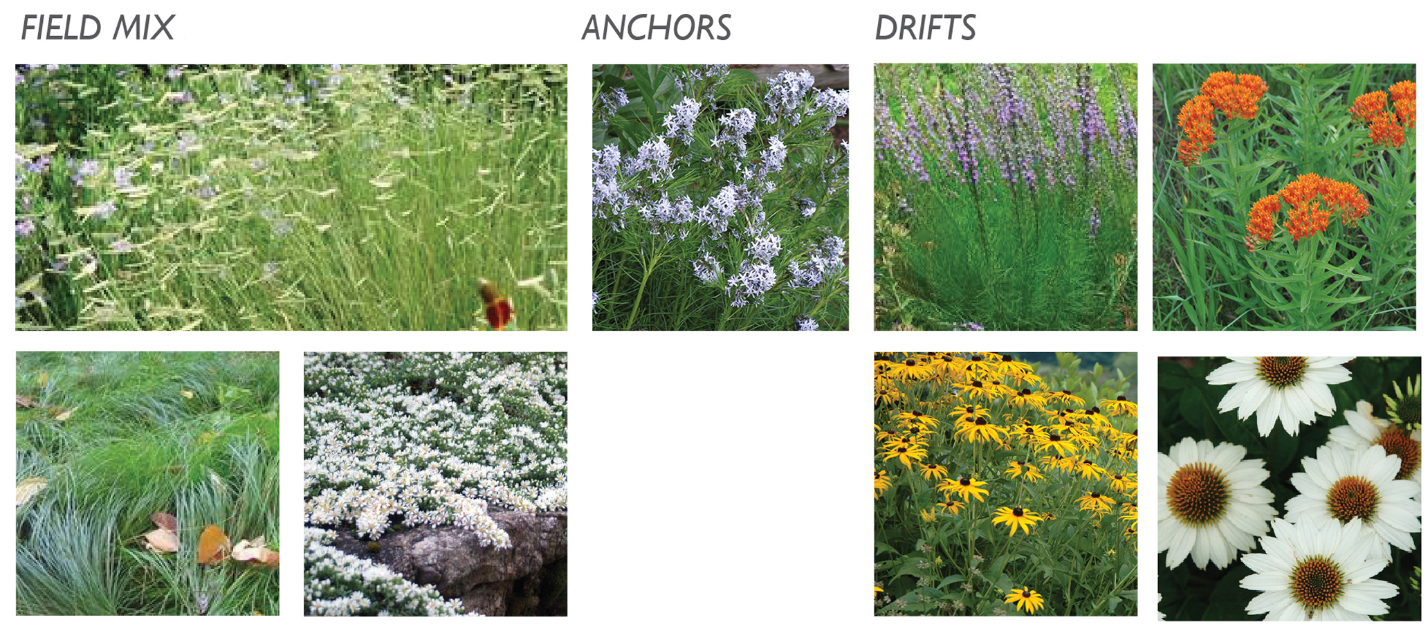 Matrix_MidSunMeadow_4_crop.jpg