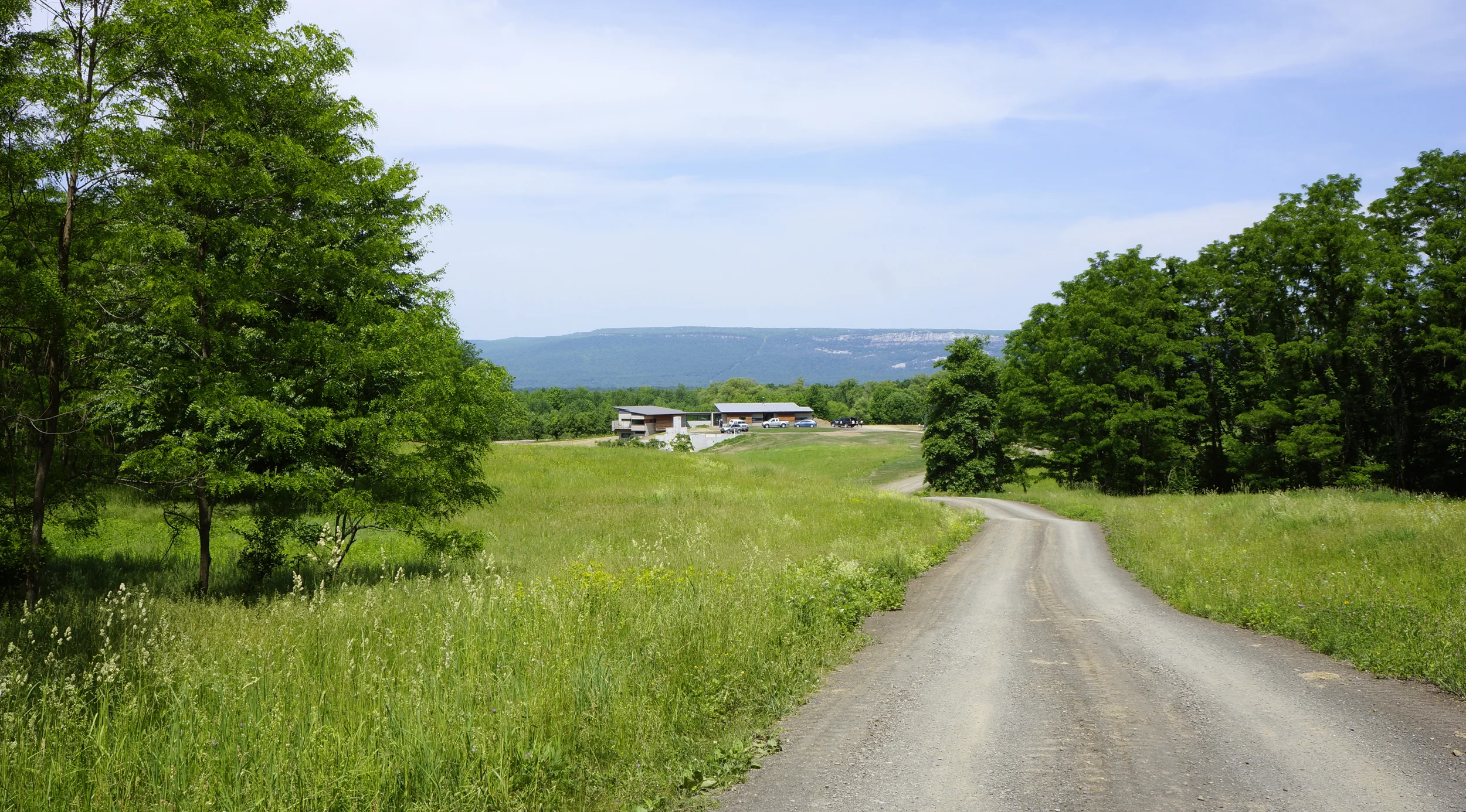 Orchard_Approach_Summer_01.jpg