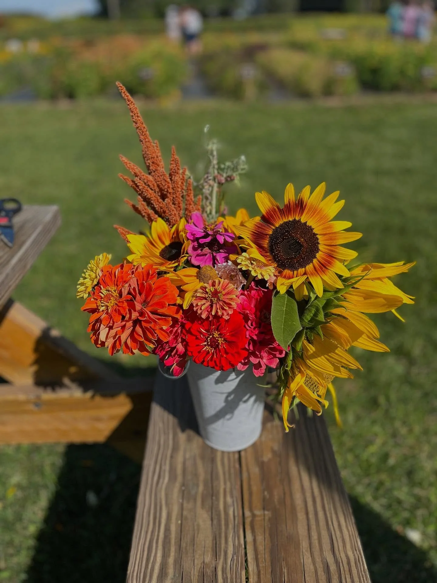 No filter needed for these beauties, picked at @wickhamfarms today 🤩
//